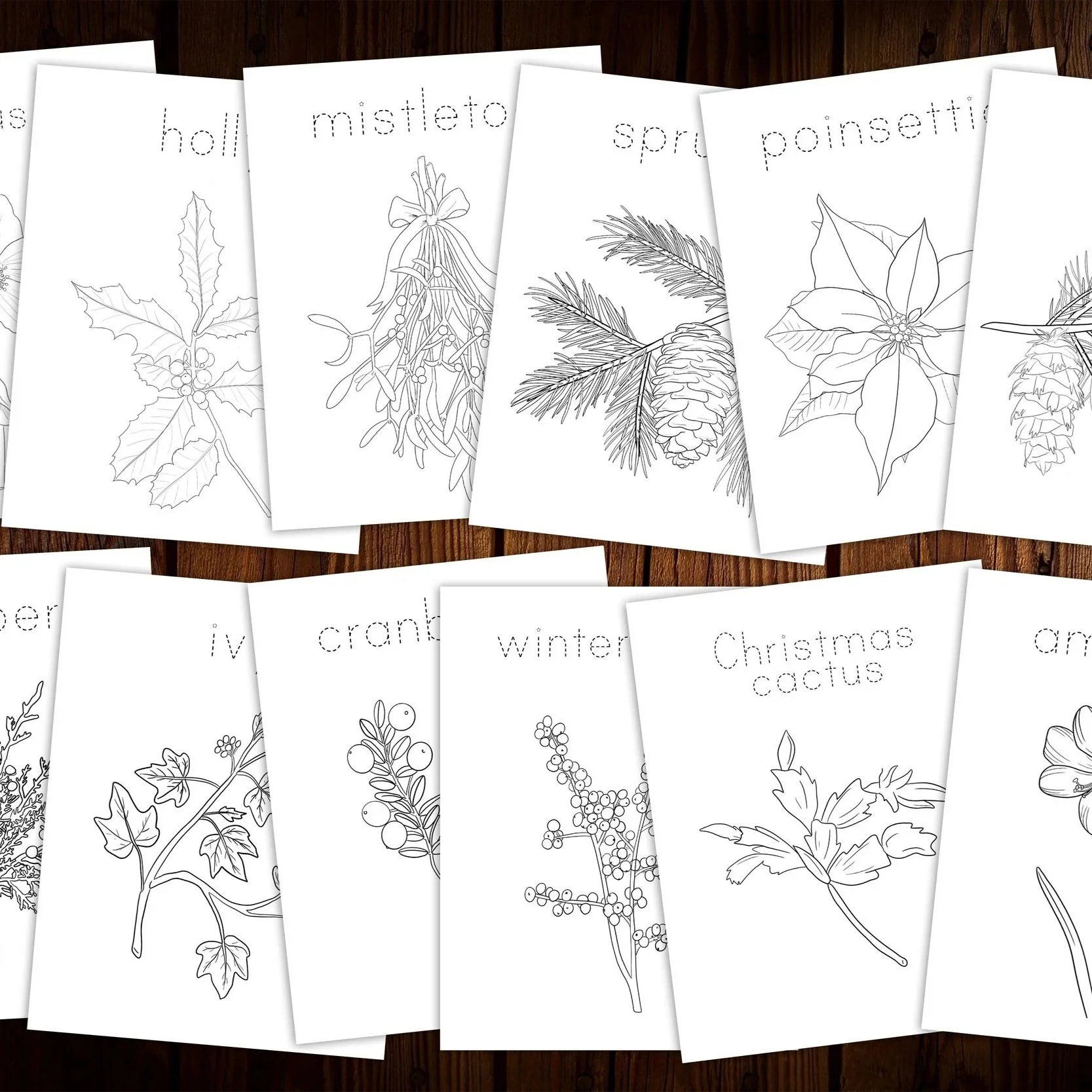 Collection of coloring pages featuring various botanical illustrations, including holly, mistletoe, sprig pine, poinsettia, and pine cones, with holiday-themed plant names.