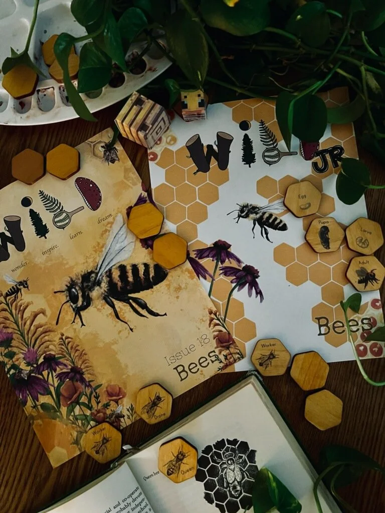 WILD Mag — Stephanie Hathaway Designs