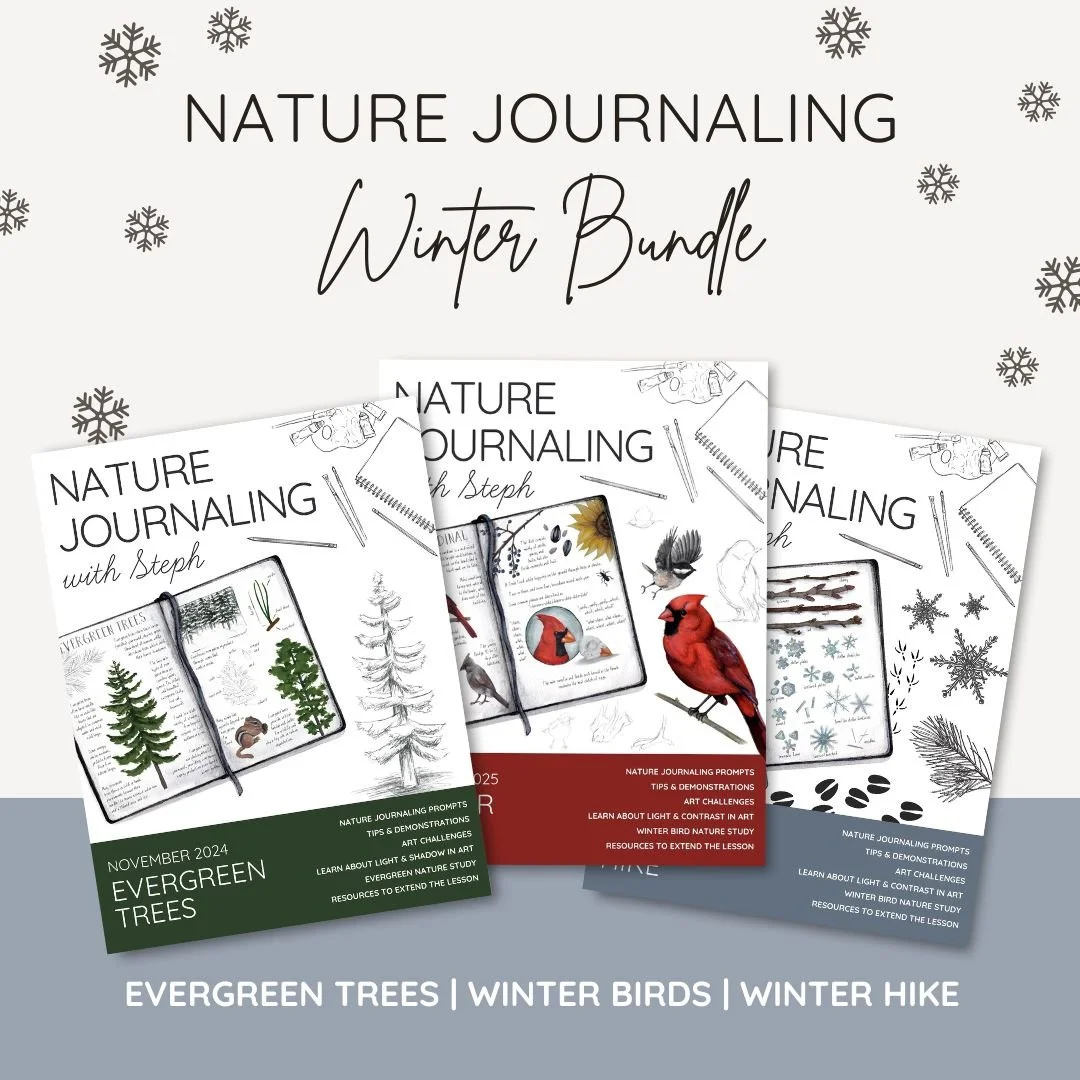 Nature Journaling Winter Bundle