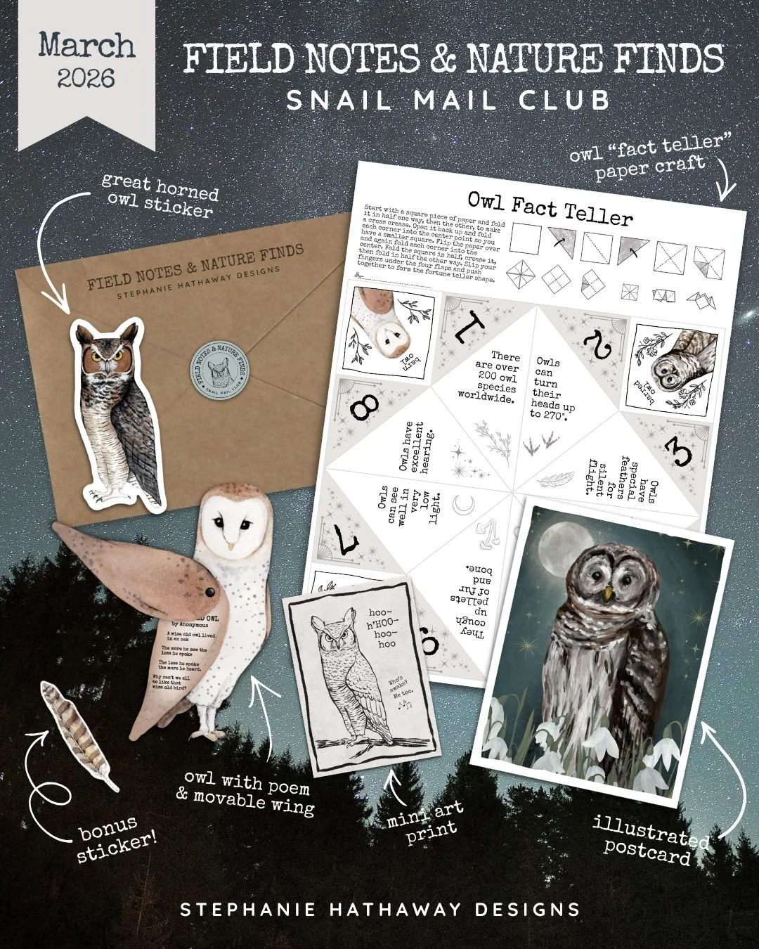 Owls Graphic 1.jpg