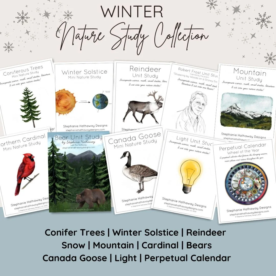 Winter Nature Study Collection.jpg