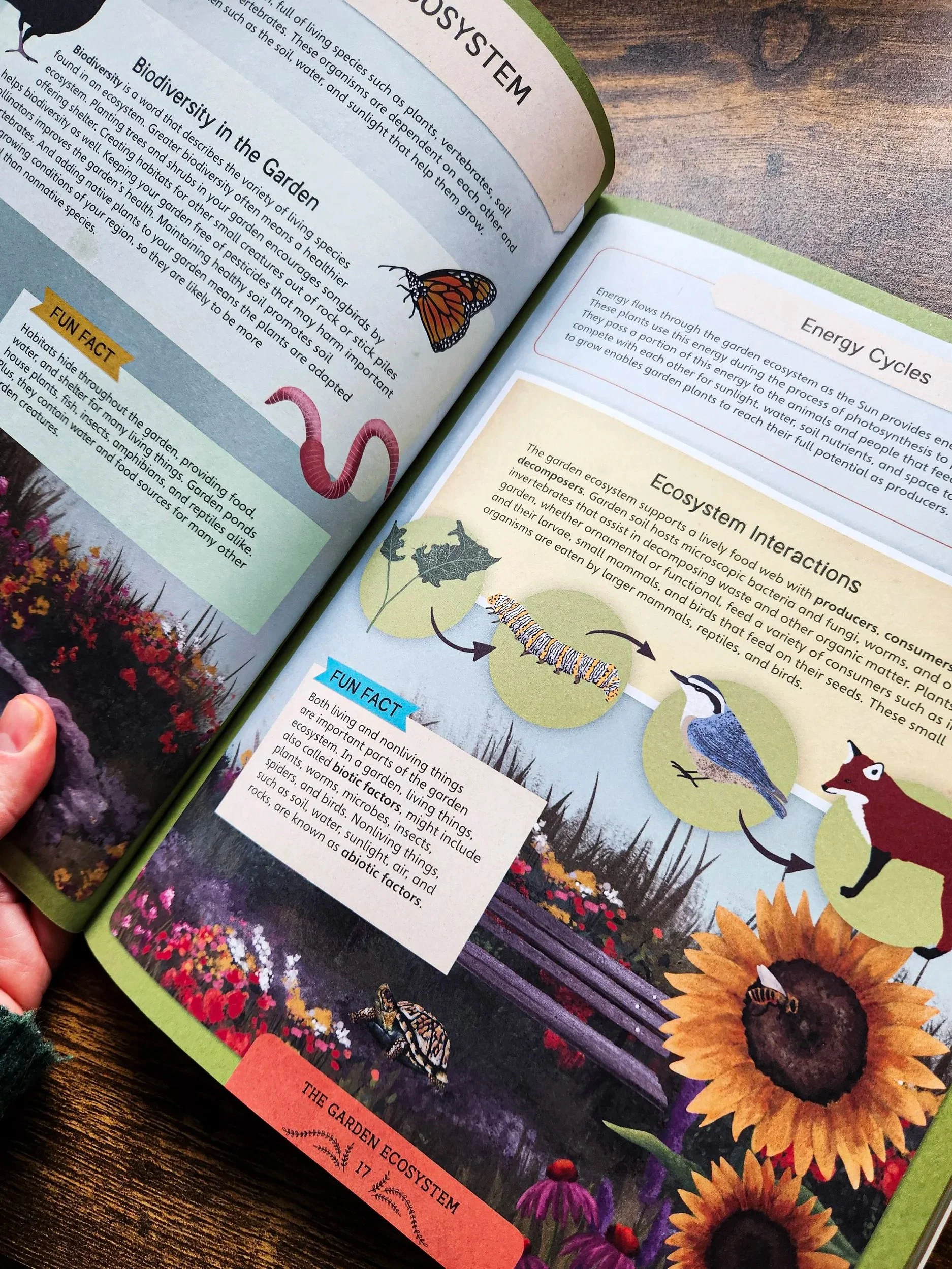 Book open to a page about the garden ecosystem