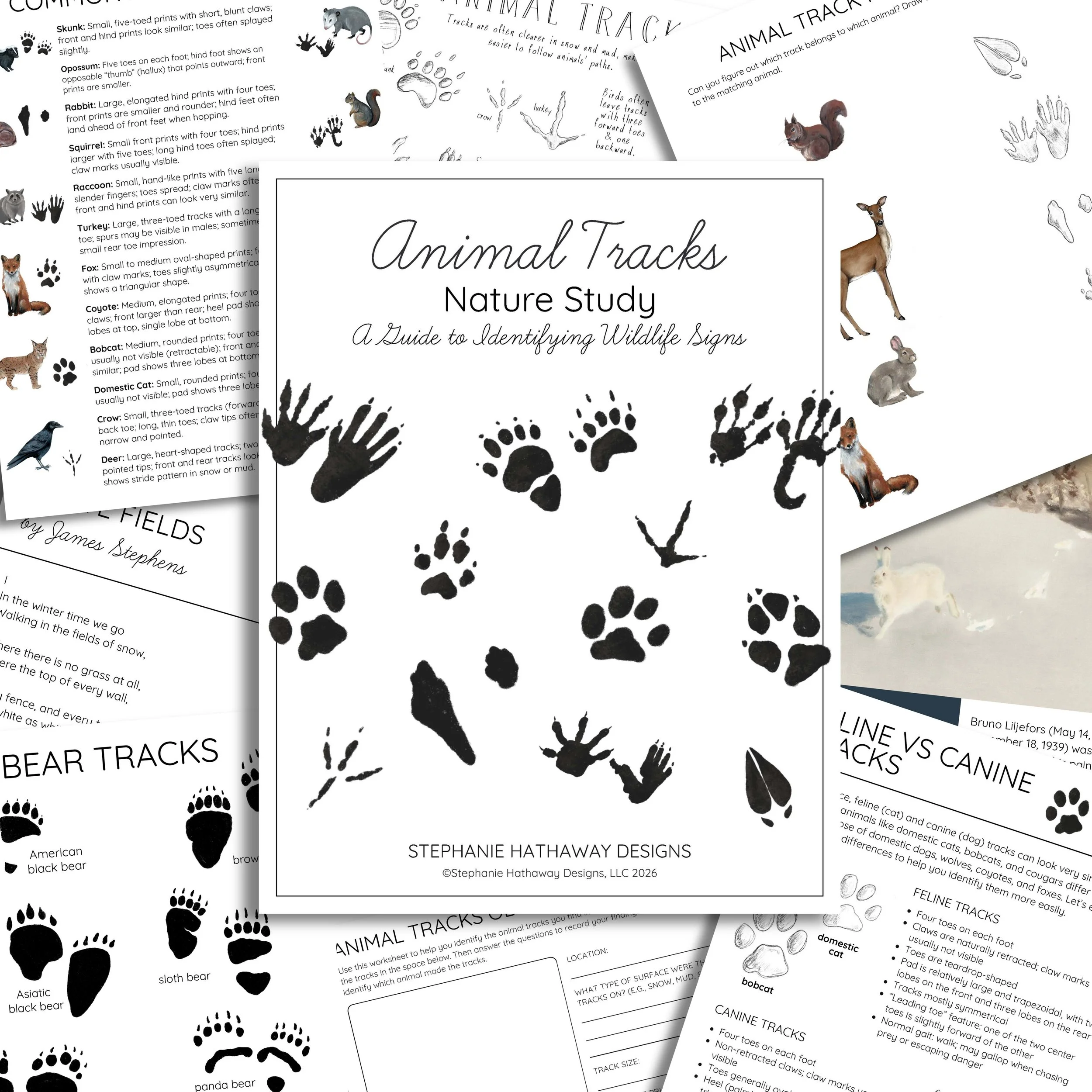 Pages from the Animal Tracks Nature Study showing illustrated animal tracks and signs.