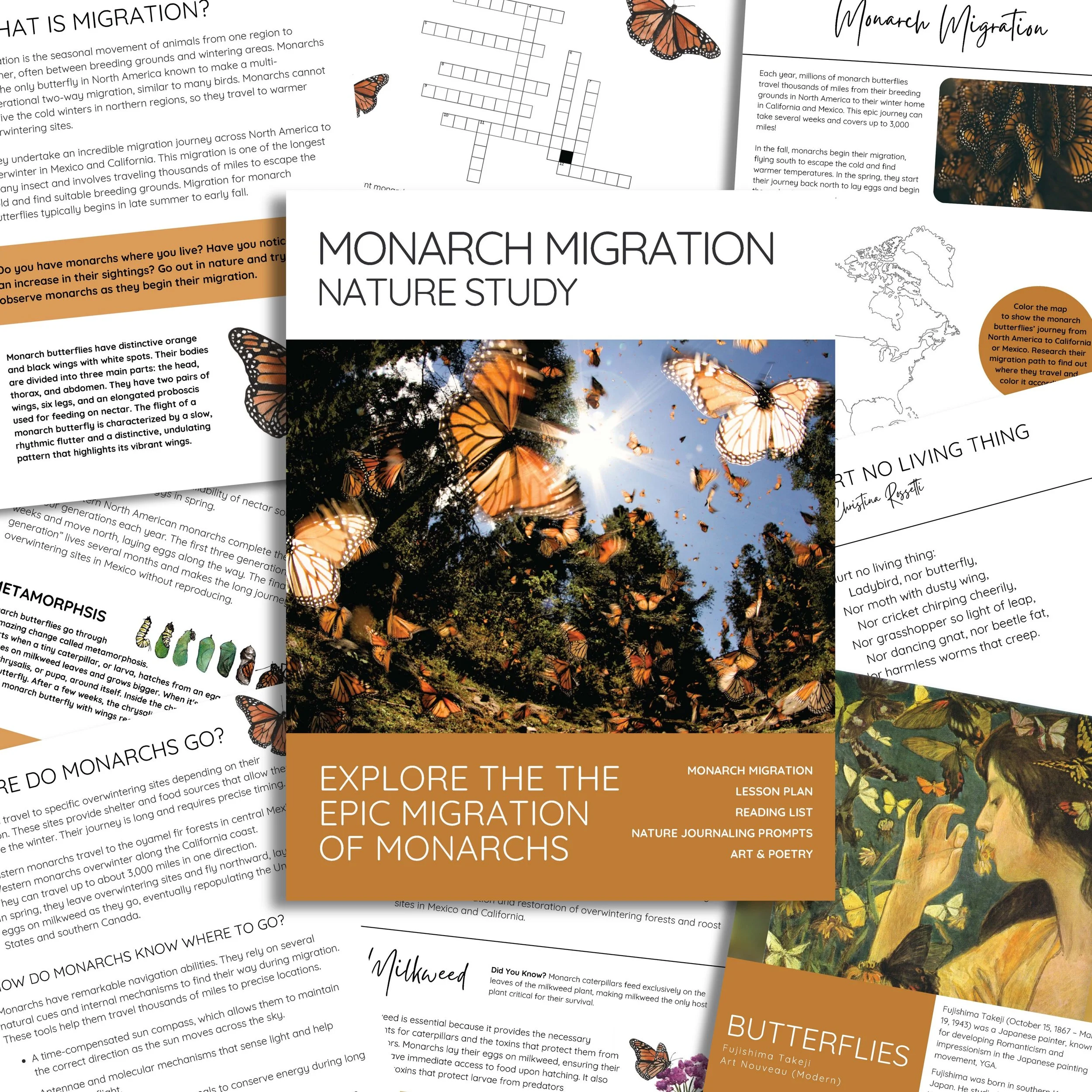 Promo Image Square 2.jpg