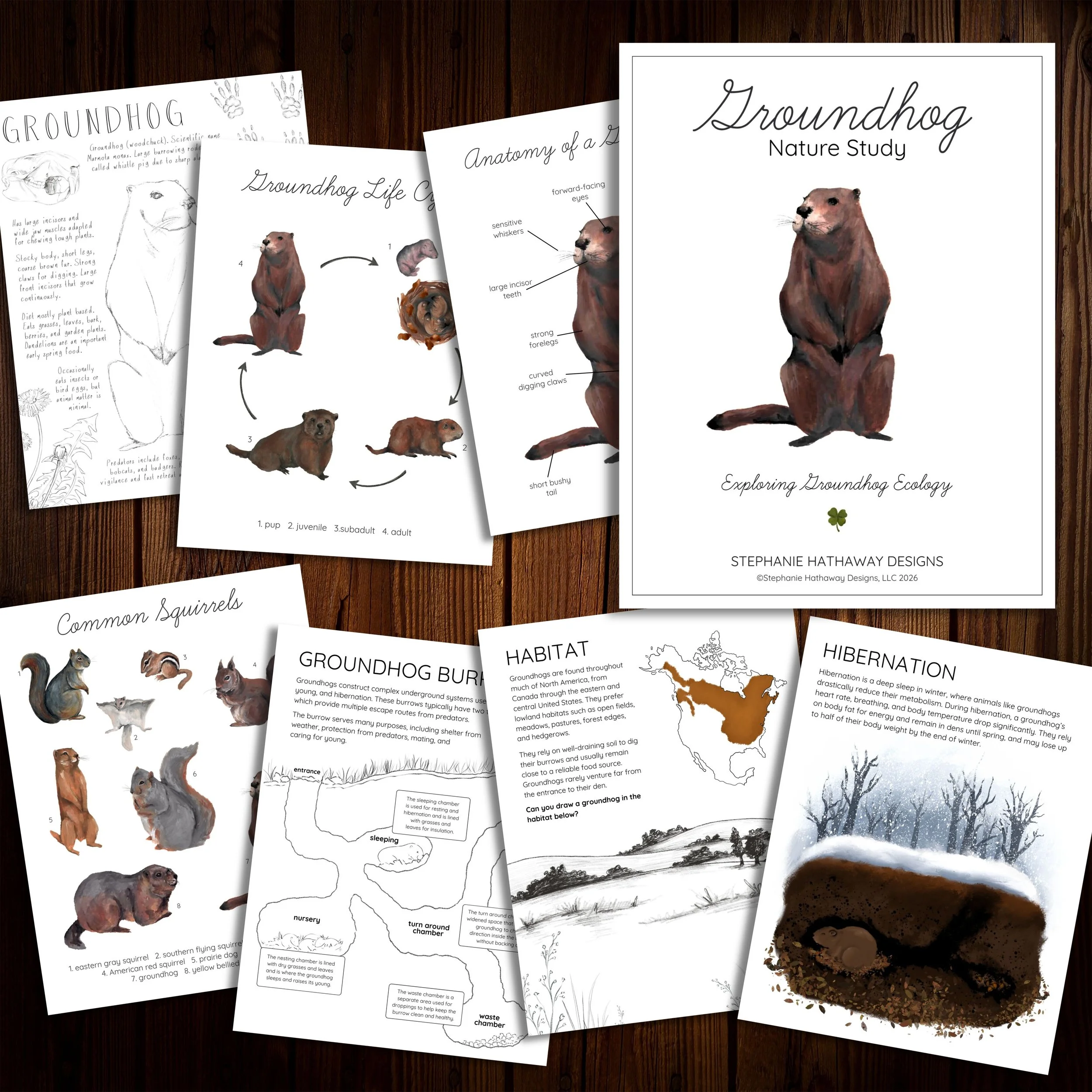 Alternate view of the Groundhog Nature Study preview showing additional inside pages, including a reading list, habitat diagram, and activity pages laid out on a table.