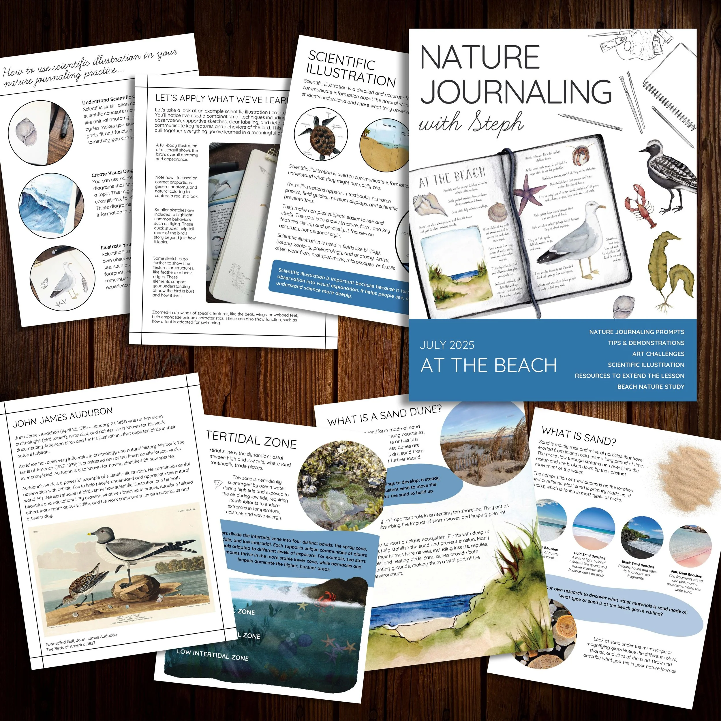 Mockup image of beach-themed nature jounraling lesson.