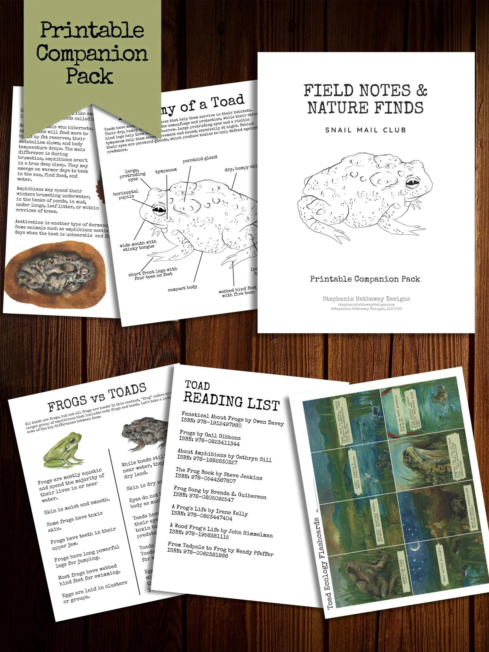 Mockup of the printable companion pack featuring toad-themed educational resources