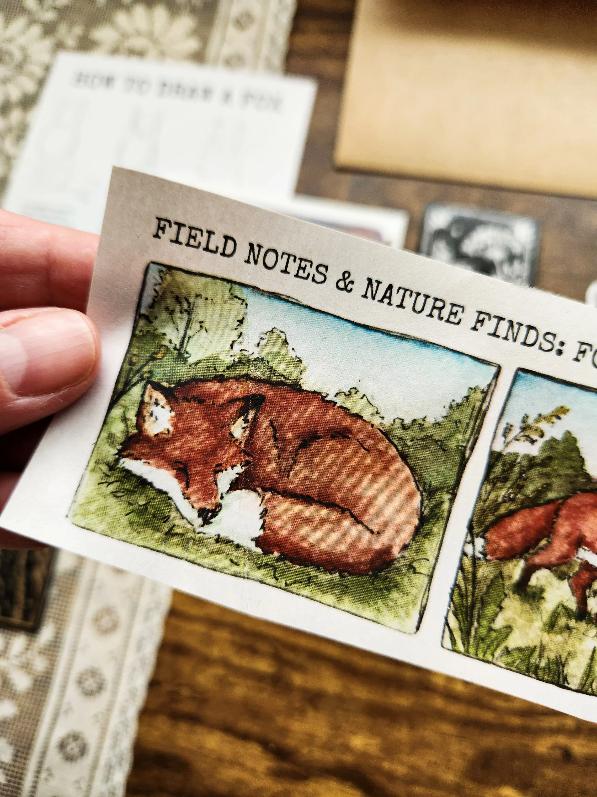Close-up of fox comic strip