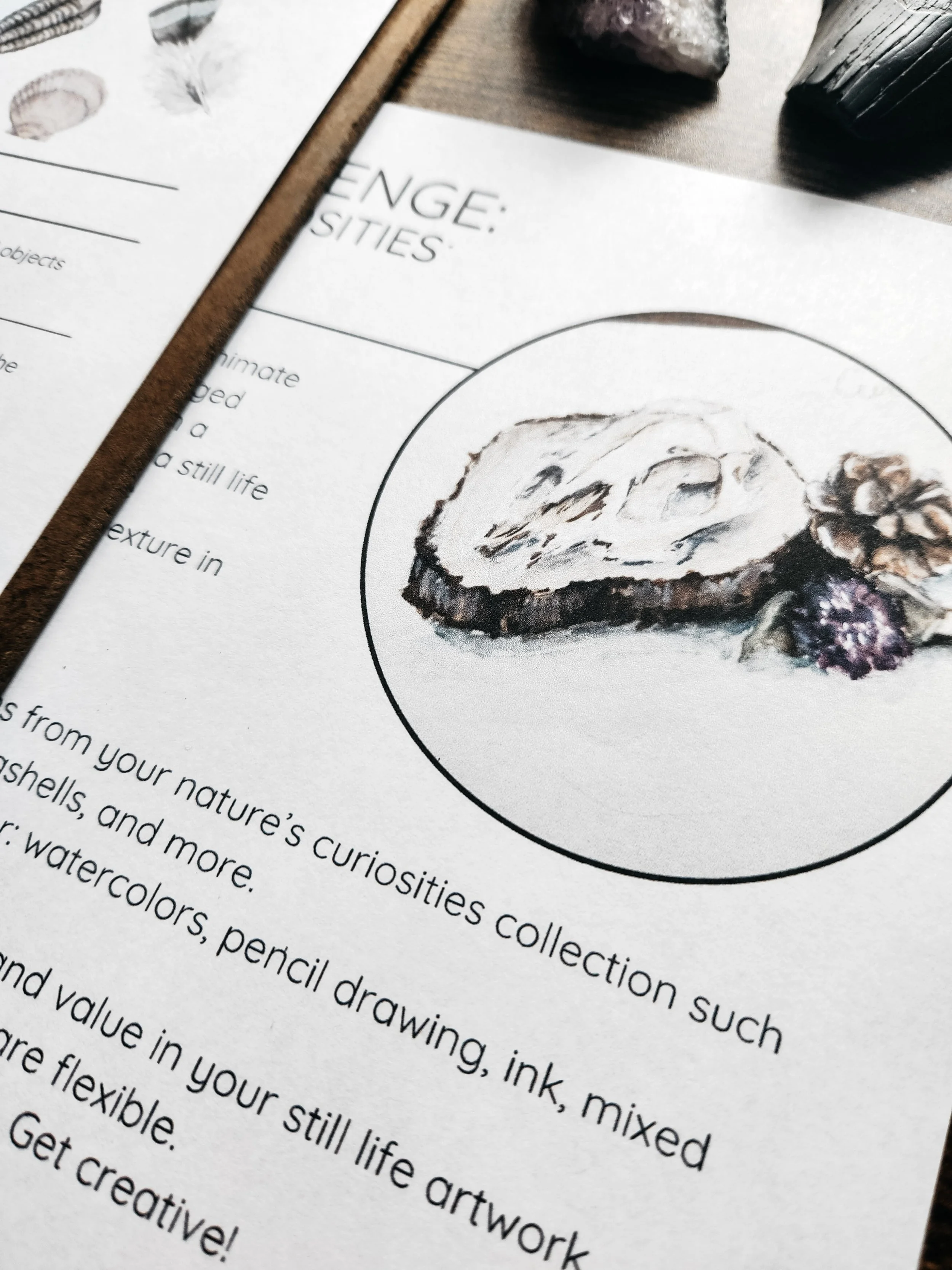 Nature Journaling with Steph lesson pages featuring the Nature’s Curiosities theme.