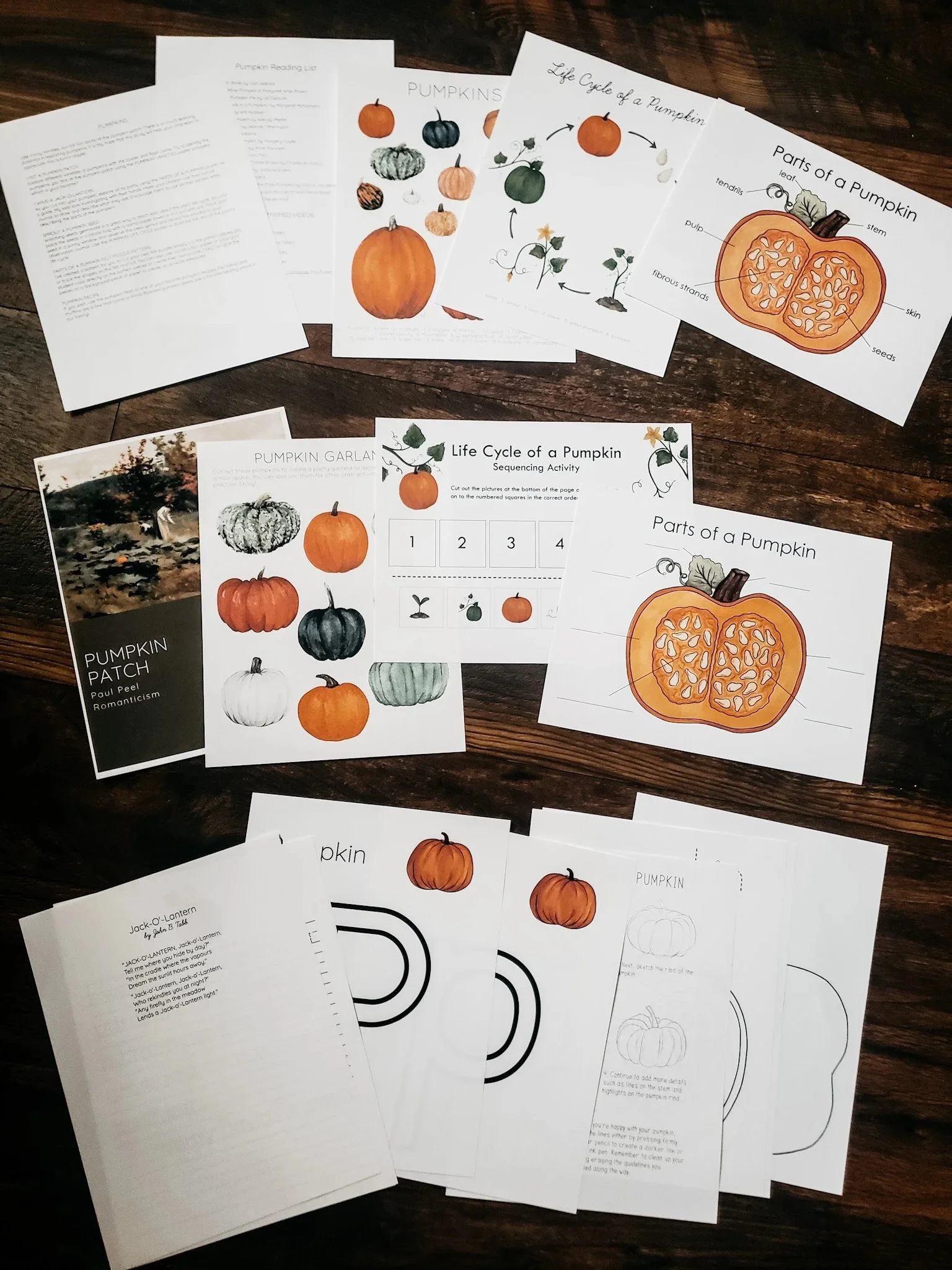 Clipboard_08-27-2025_09.jpg
