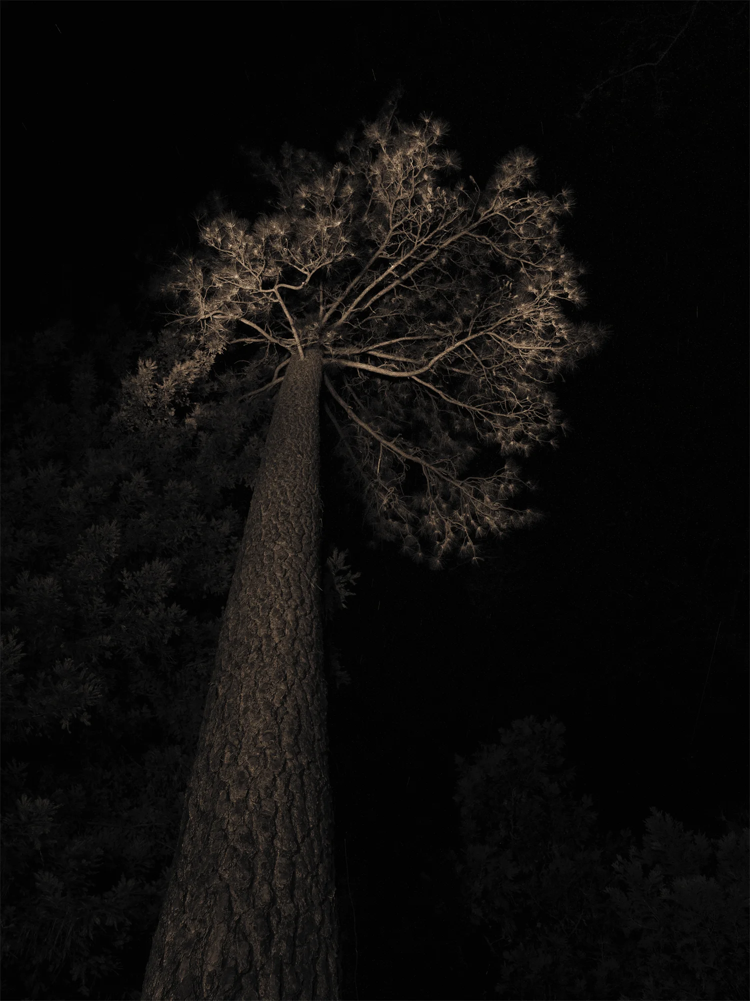 Untitled, Grass Valley, CA