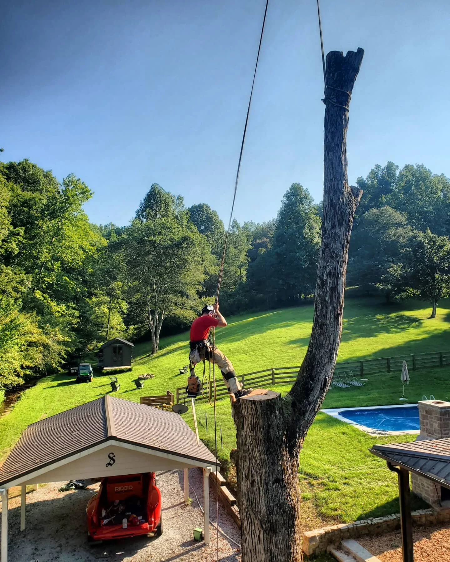Franklin, TN Tree Services & Tree Removal TN Tree Preservation