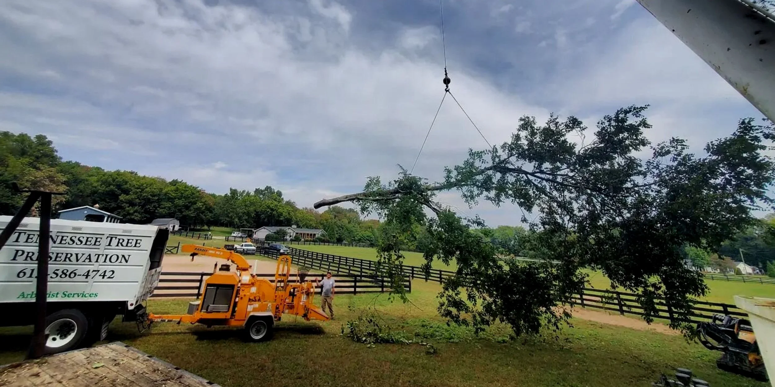 Franklin, TN Tree Services & Tree Removal | TN Tree Preservation