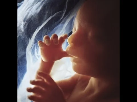 6 Prolife warnings about Ireland have already come true