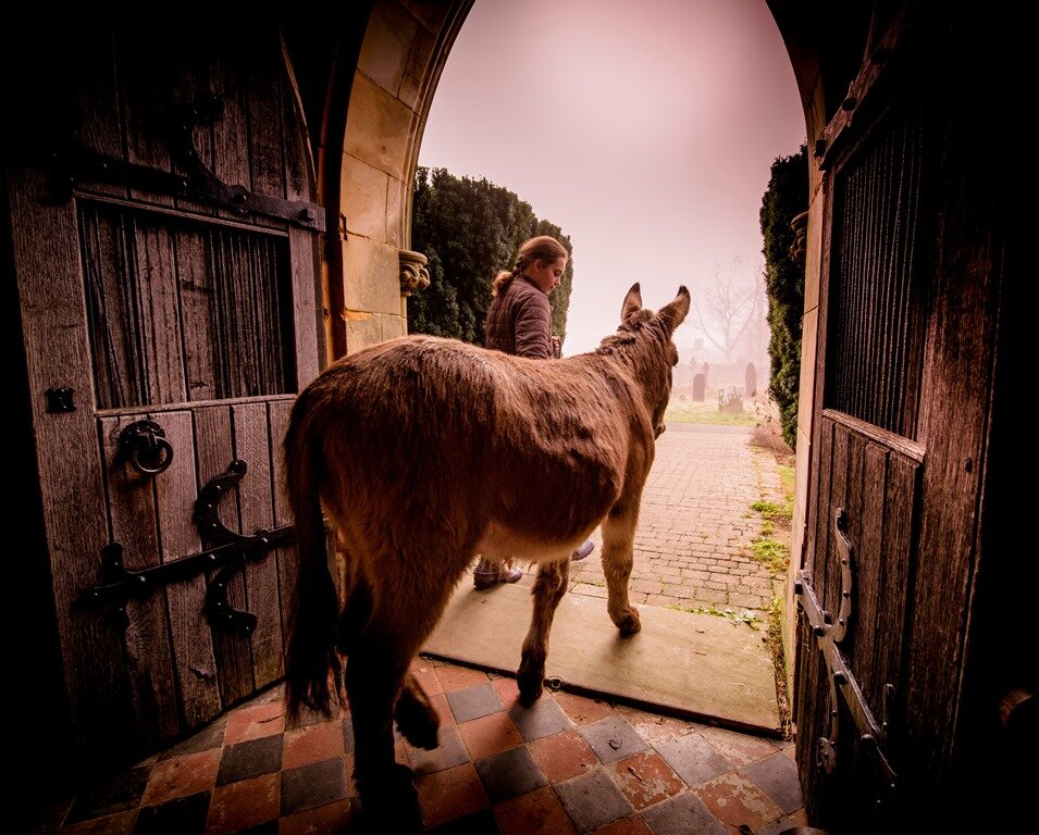 “El burro”, poema de Chésterton para Domingo de Ramos