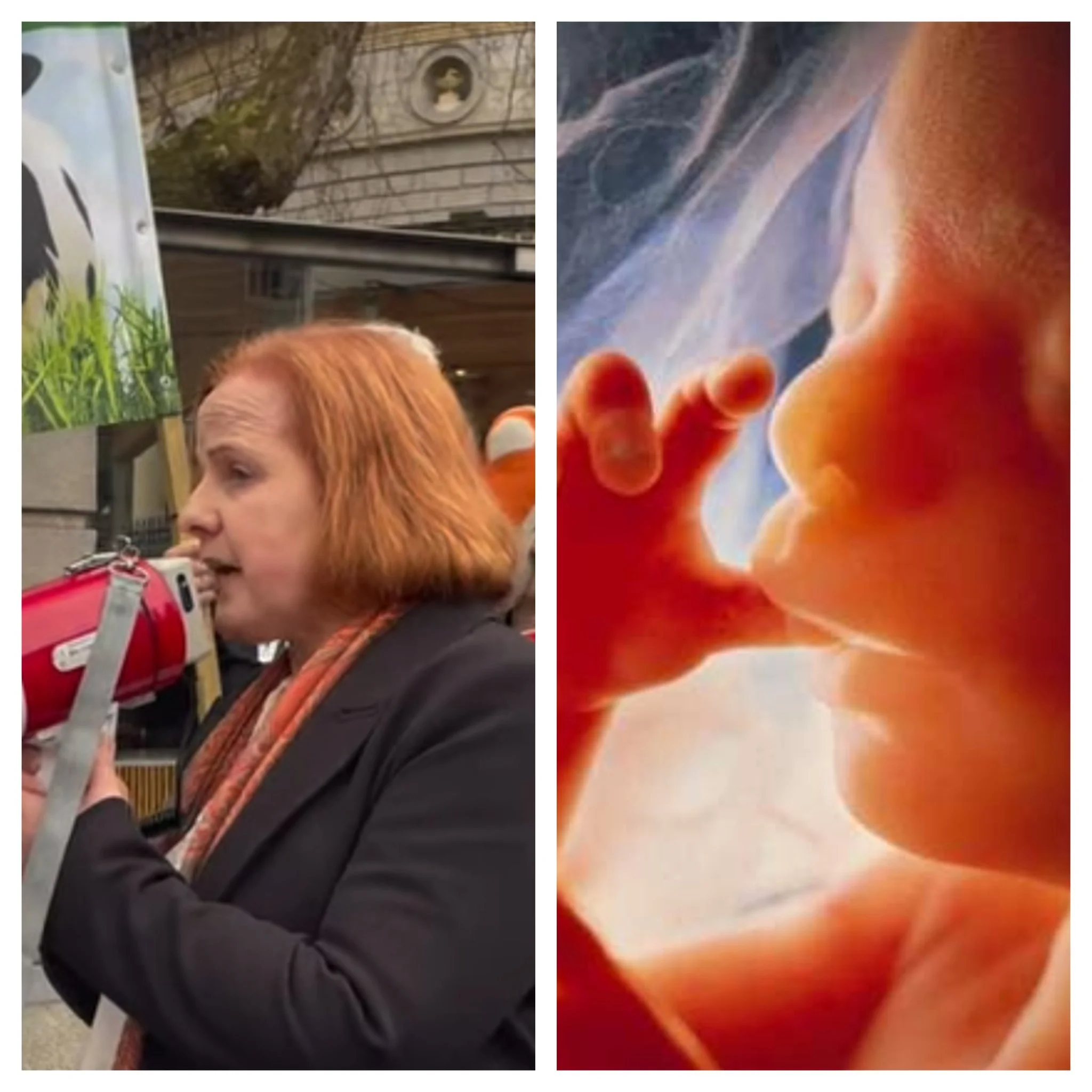 Irish Politicians Almost Vote for Abortion up to 9 Months