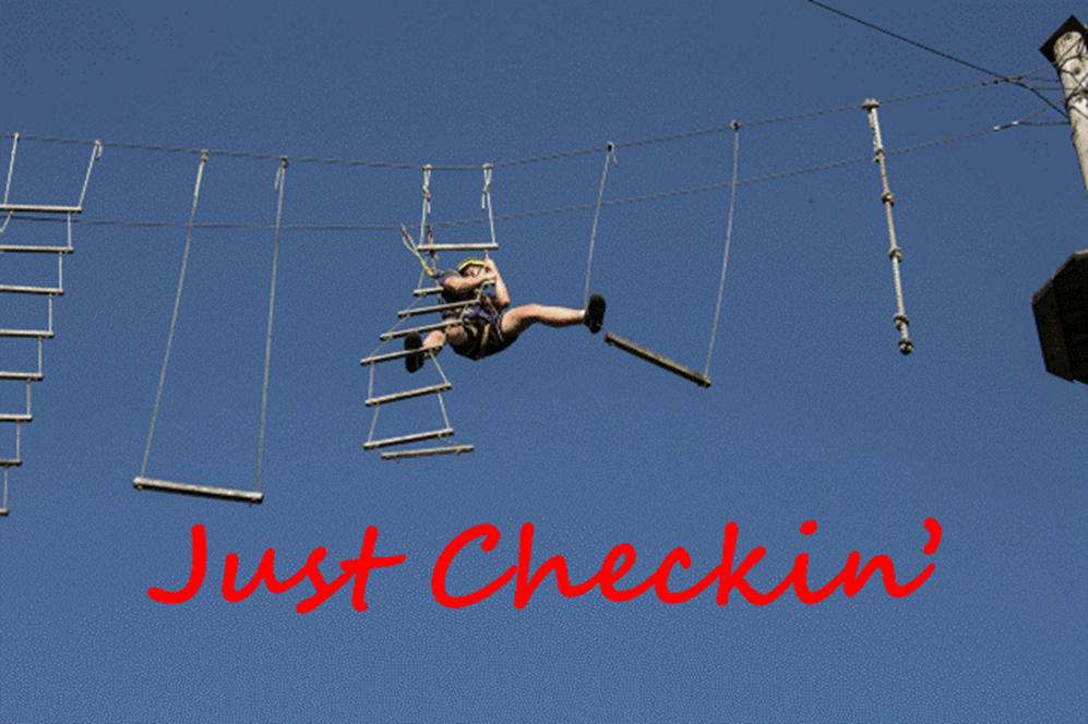 Look Before You Leap