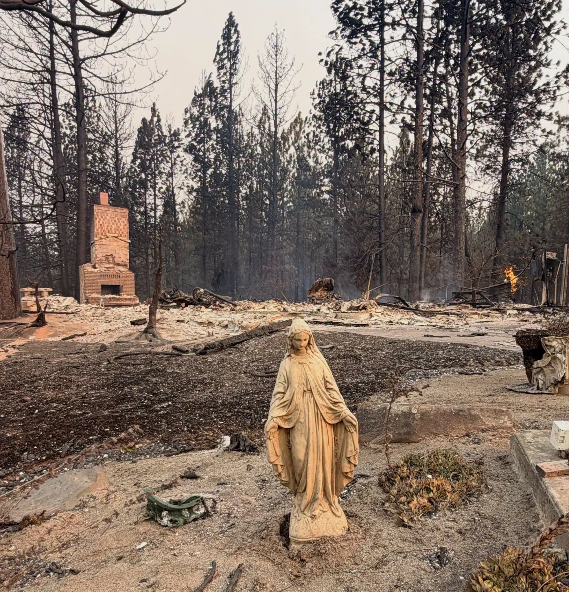 Statue Survives Shocking Fires in Washington