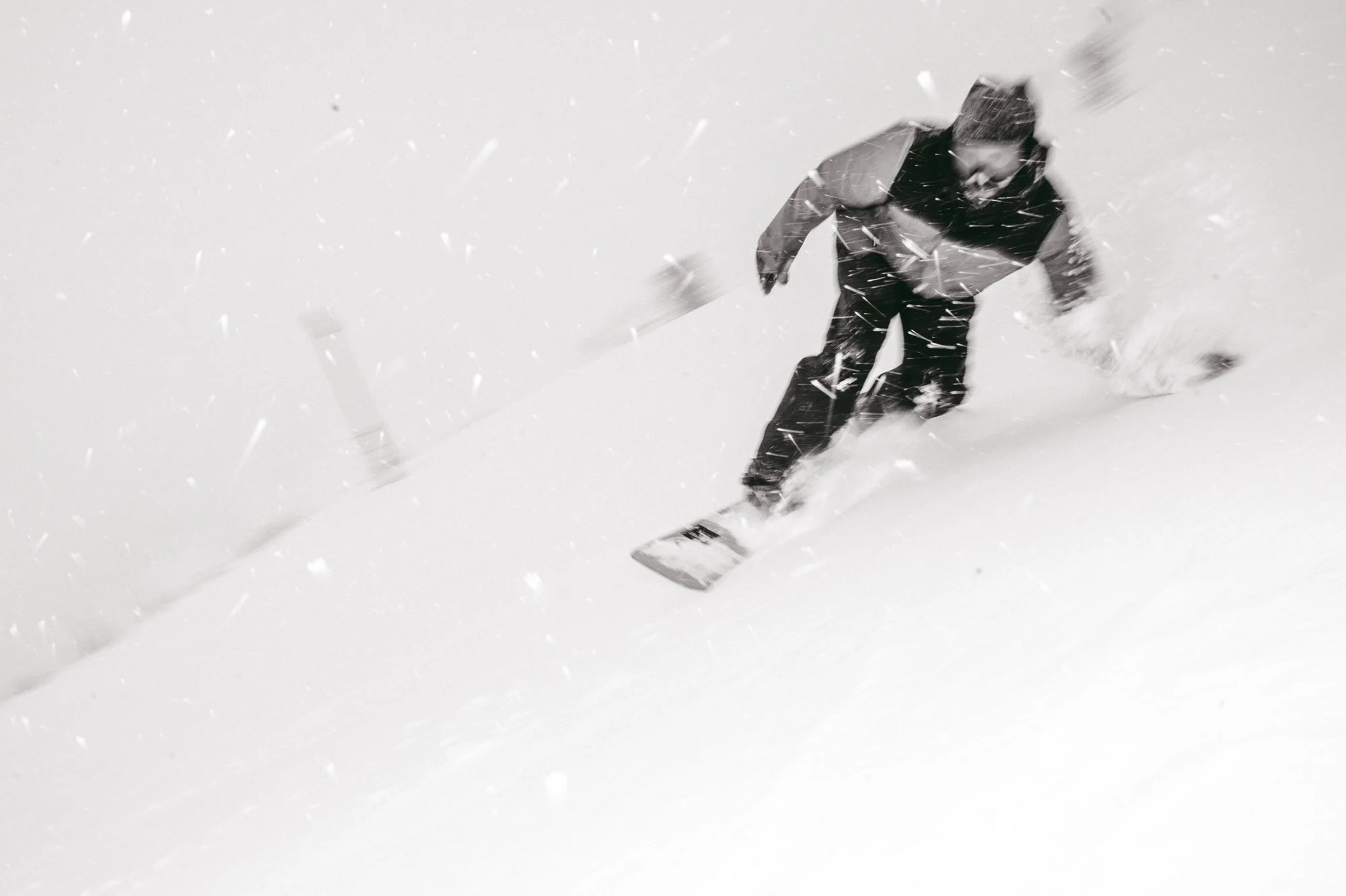 Full production and marketing including social media management, content creation, graphic design, website management, logistics, copy writing, and more. 