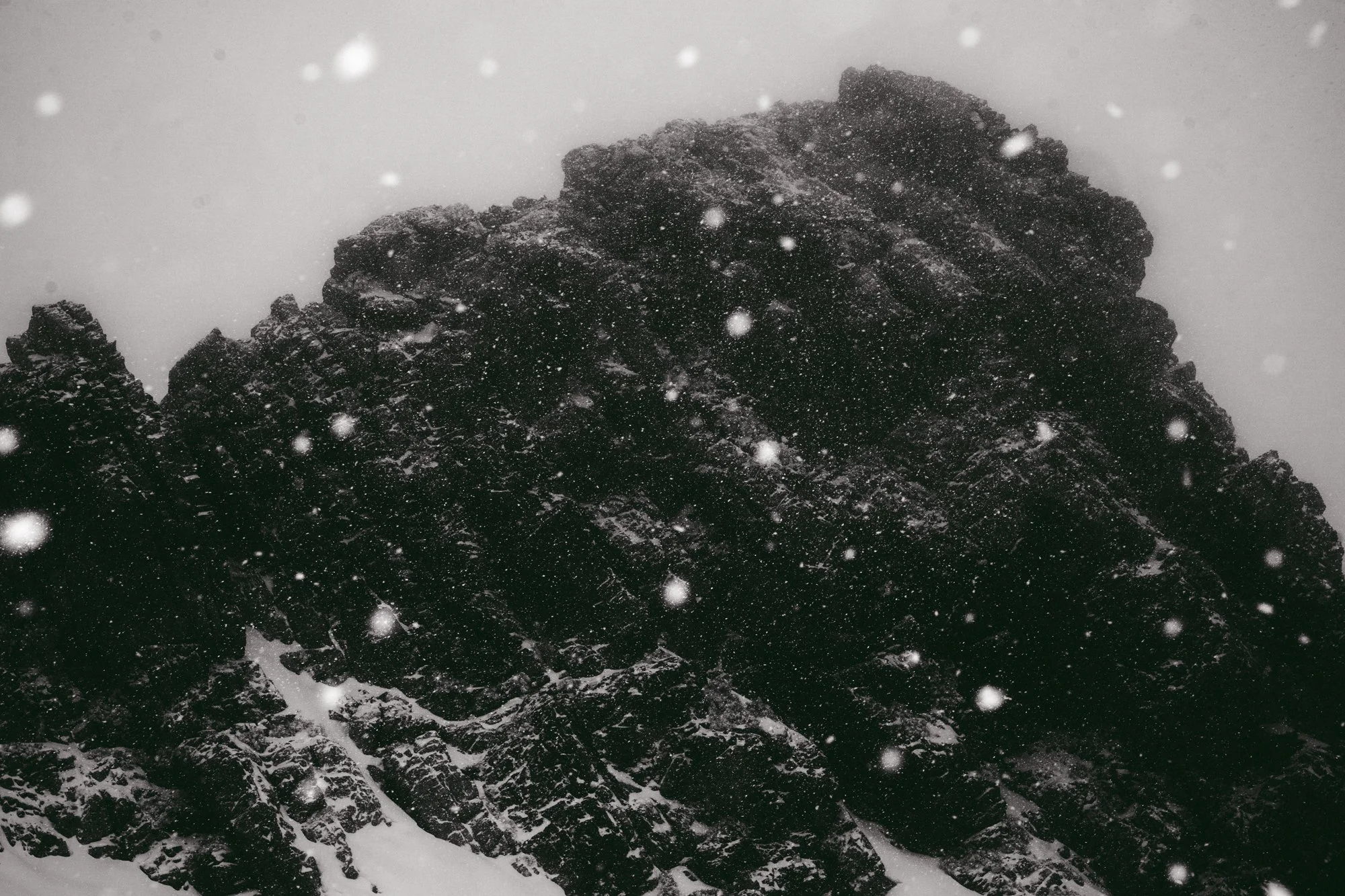 Full production and marketing including social media management, content creation, graphic design, website management, logistics, copy writing, and more. 