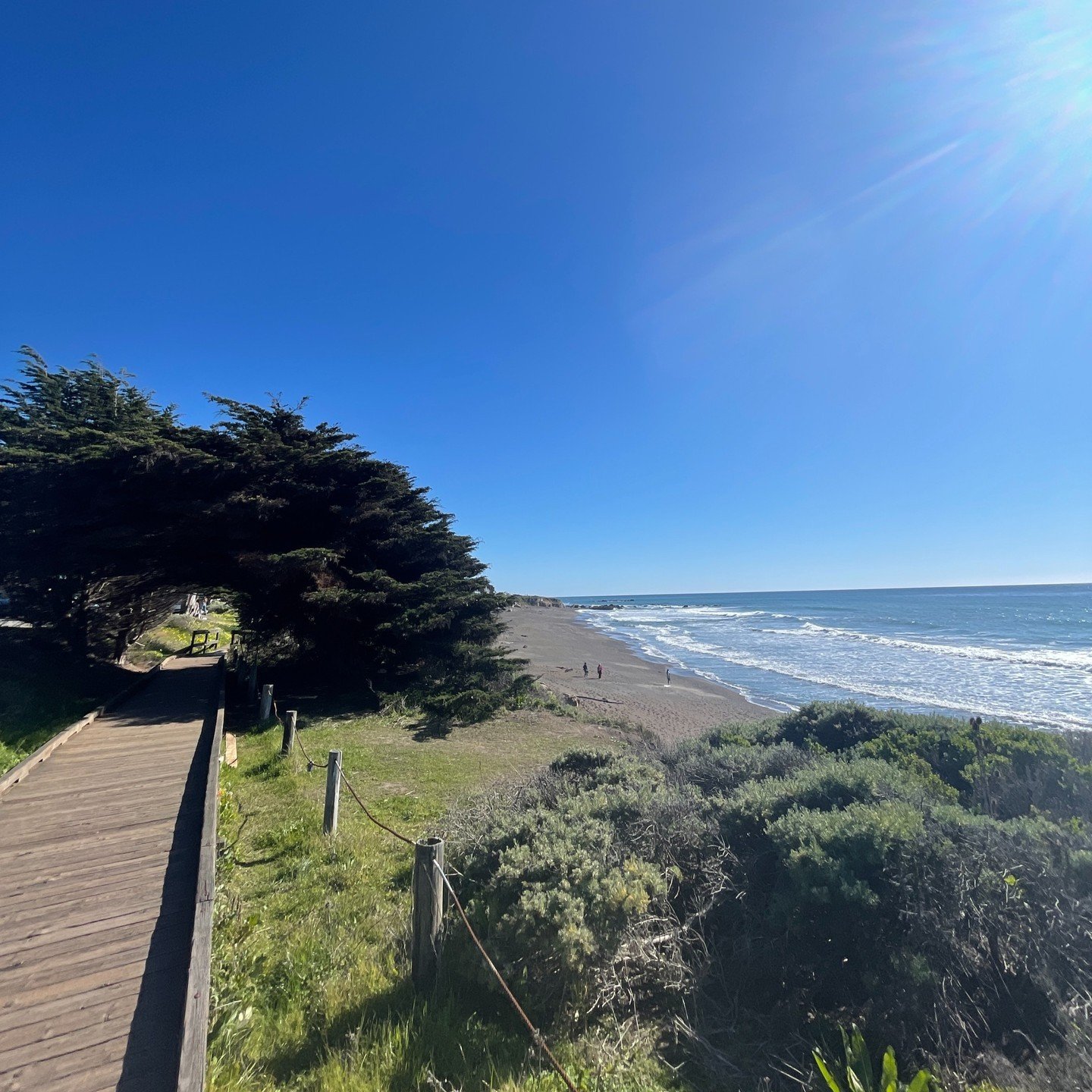 Coastal Views Await ☀️

What a beautiful place to be apart of! Moonstone Beach Bar x Grill compliments the ocean views perfectly! 🌊 🦐