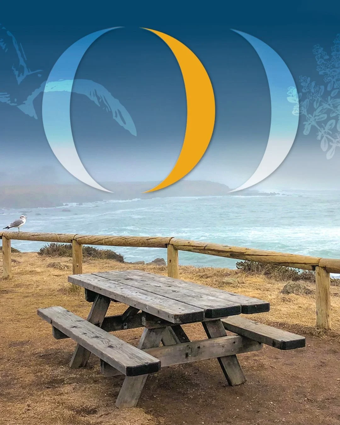 Steps from the waves, miles from ordinary 🌊✨

At Moonstone Beach Bar x Grill, you're not just dining, you&rsquo;re soaking in the salty breeze, ocean views, and golden sunsets that make Cambria unforgettable 🤩