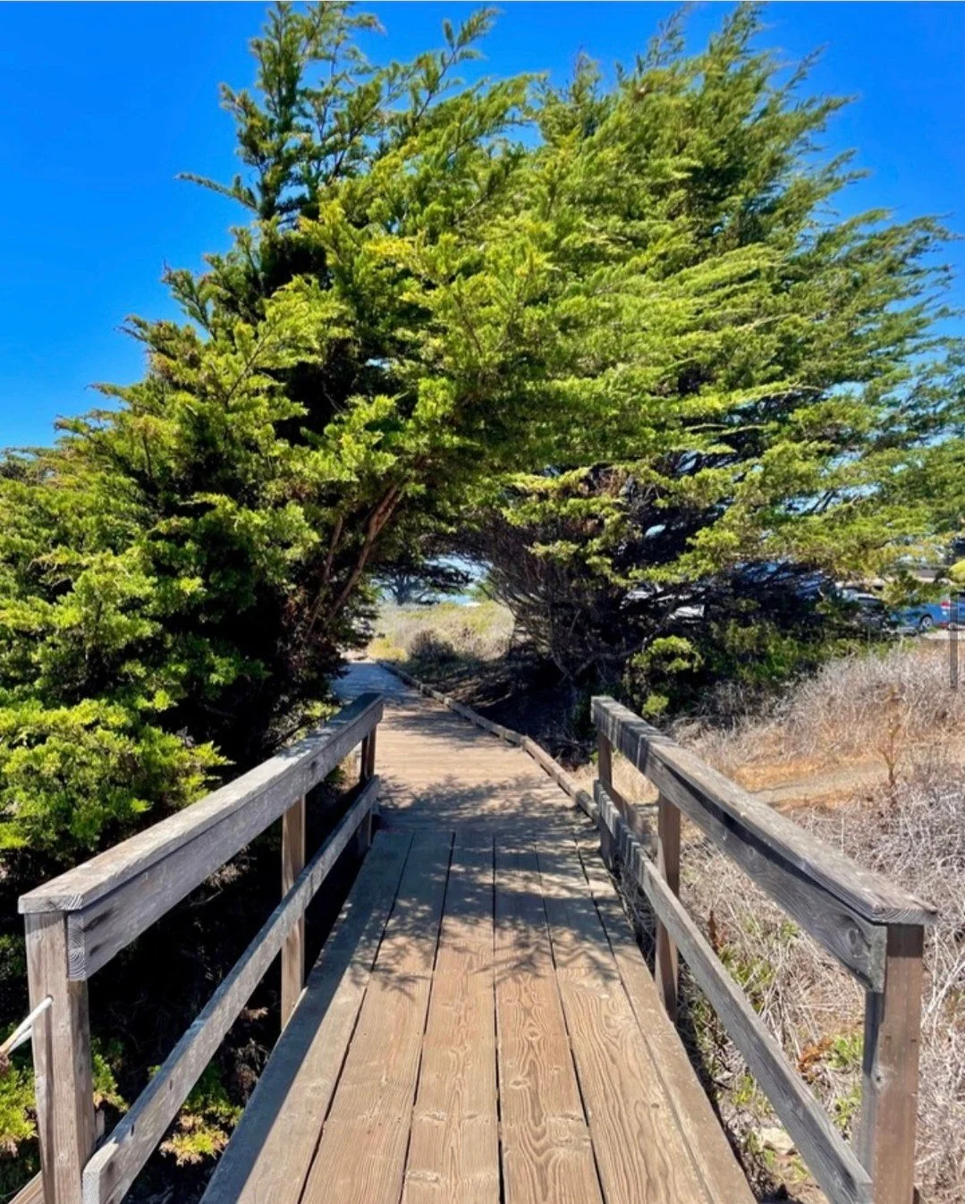 Beach, Explore, Refuel, Repeat 🌊☀️

Adventure&rsquo;s right outside with sand, surf, and salty air! 🏄&zwj;♂️ 

When you're ready, swing by Moonstone Beach Bar x Grill to fuel up for round two 🍽️✨