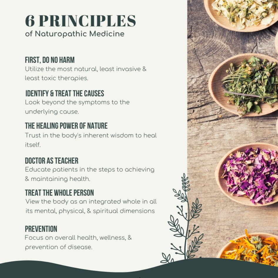 About Naturopathic Medicine — Rise Health & Wellness