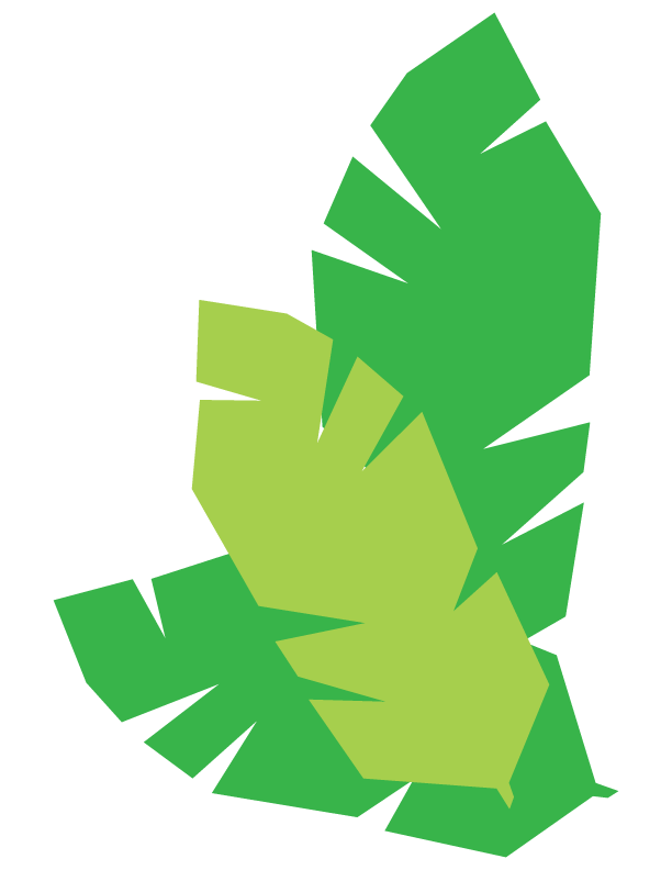 Leaf-cluster.png
