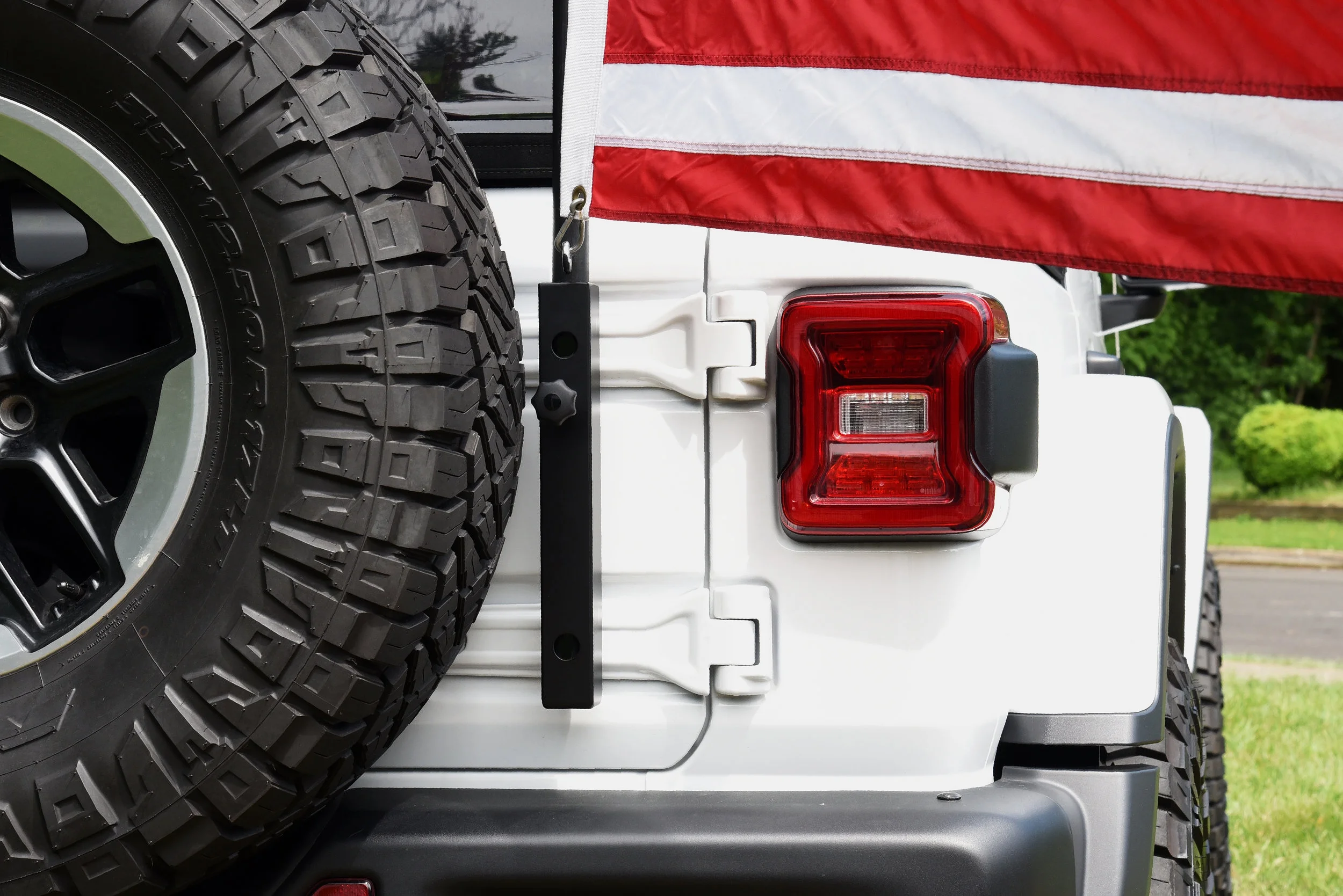 Flag+JL+Back+view.jpg