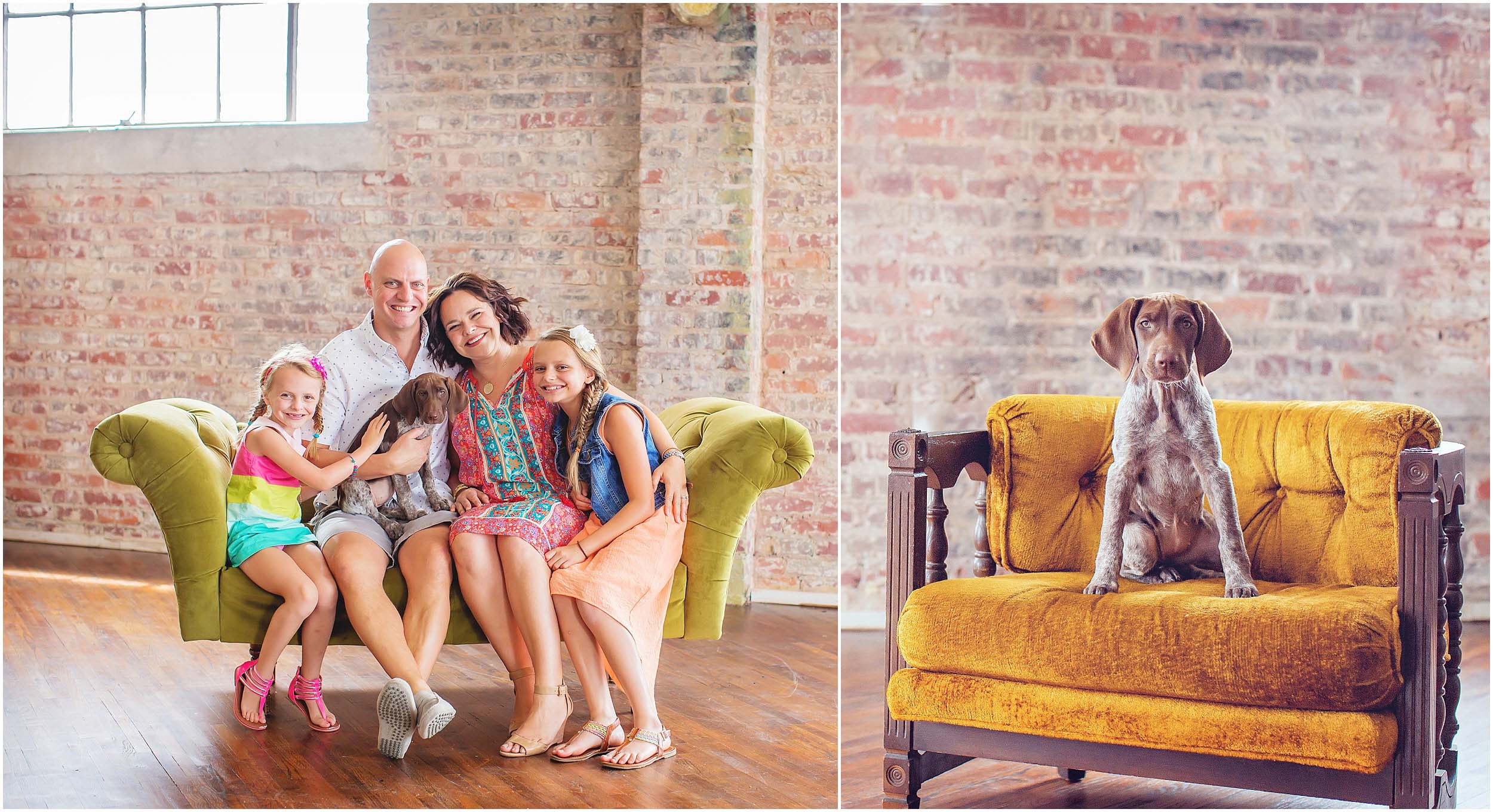  Indoor, rustic studio family portrait with pet dog in Houston by spryART photography 