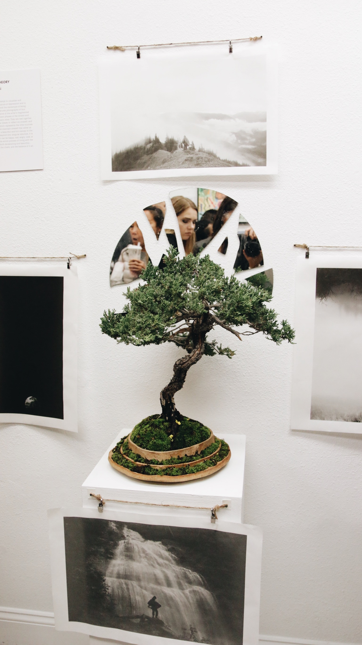 A bonsai tree sits in front of an arched half circle art piece. 