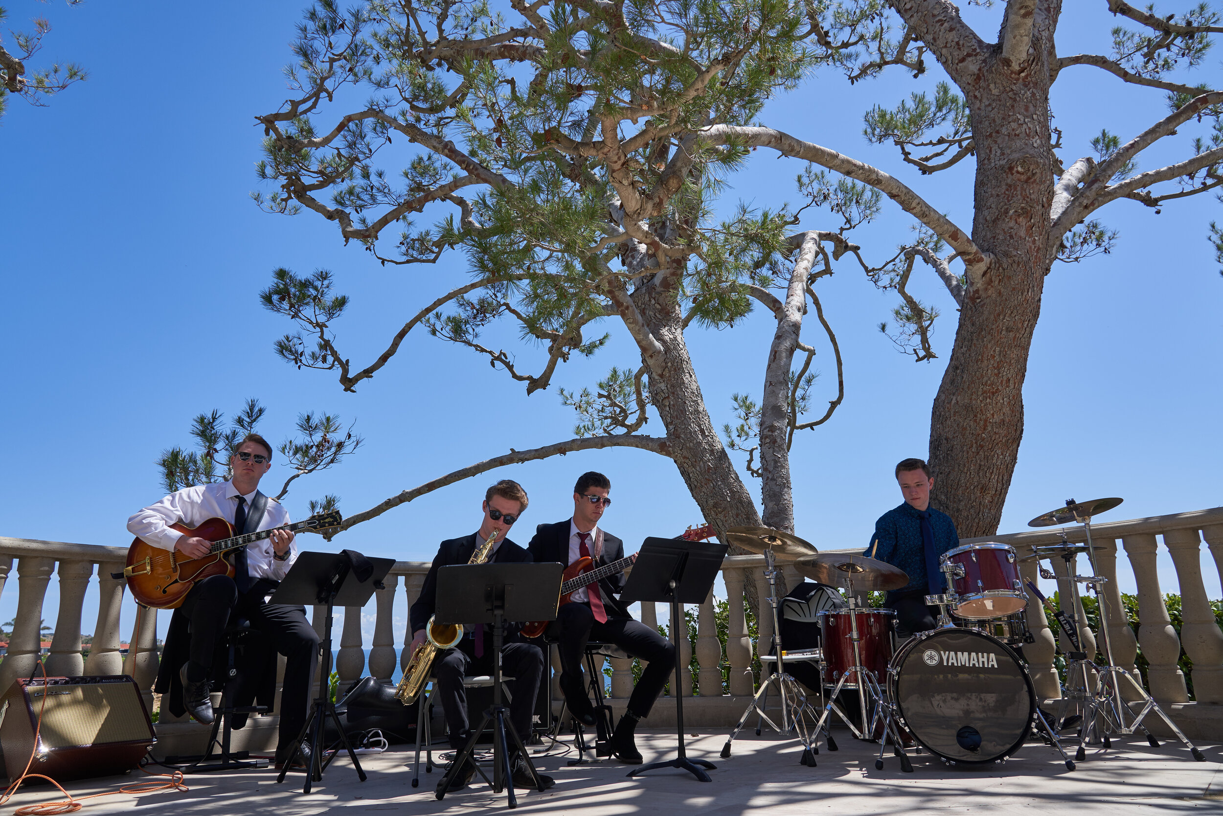 A band of guitar players, drummer and Saxophonist play under a tree.