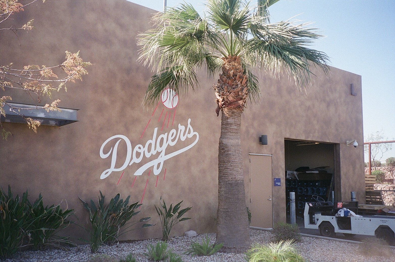 A palm tree stand in front of a tan building with "Dodgers" painted on the side. 