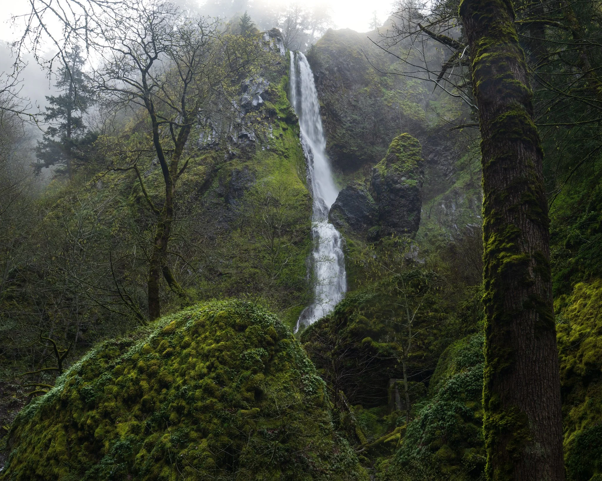 oregon-backlit-fog-waterfall.jpg