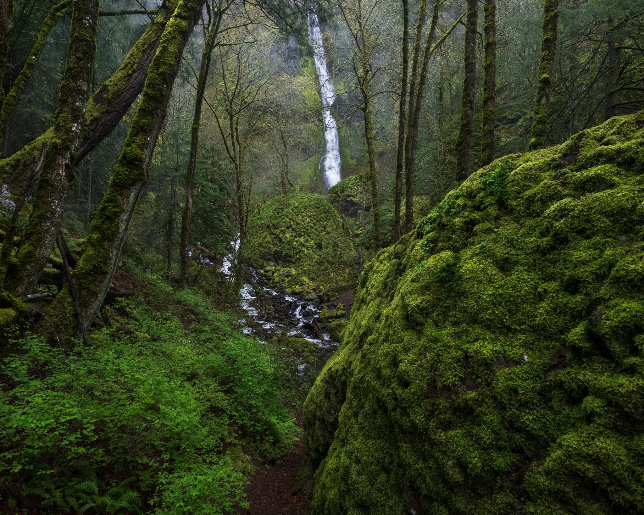 PNW-misty-waterfall.jpg