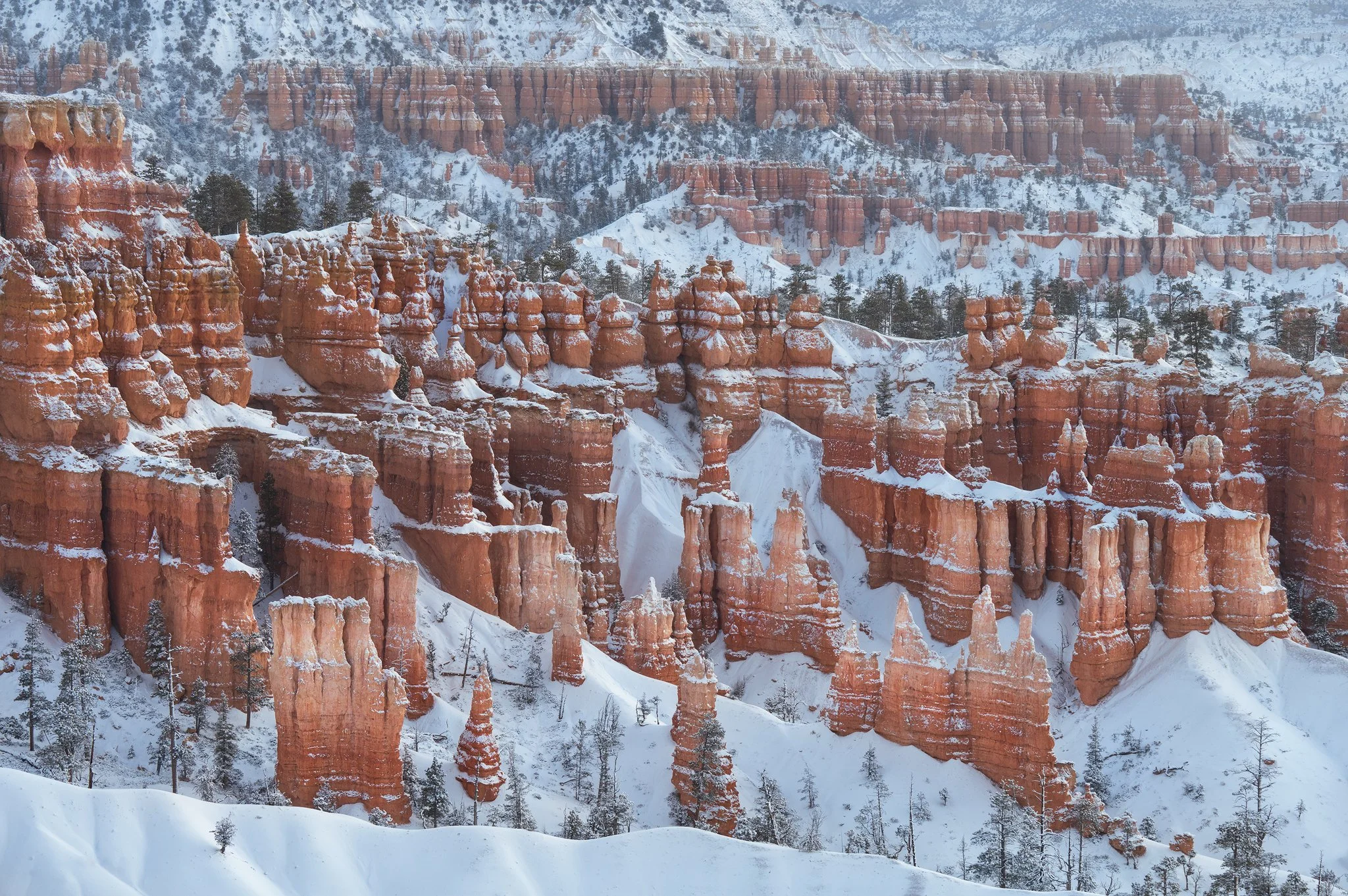 bryce-soft-light-copy.jpg