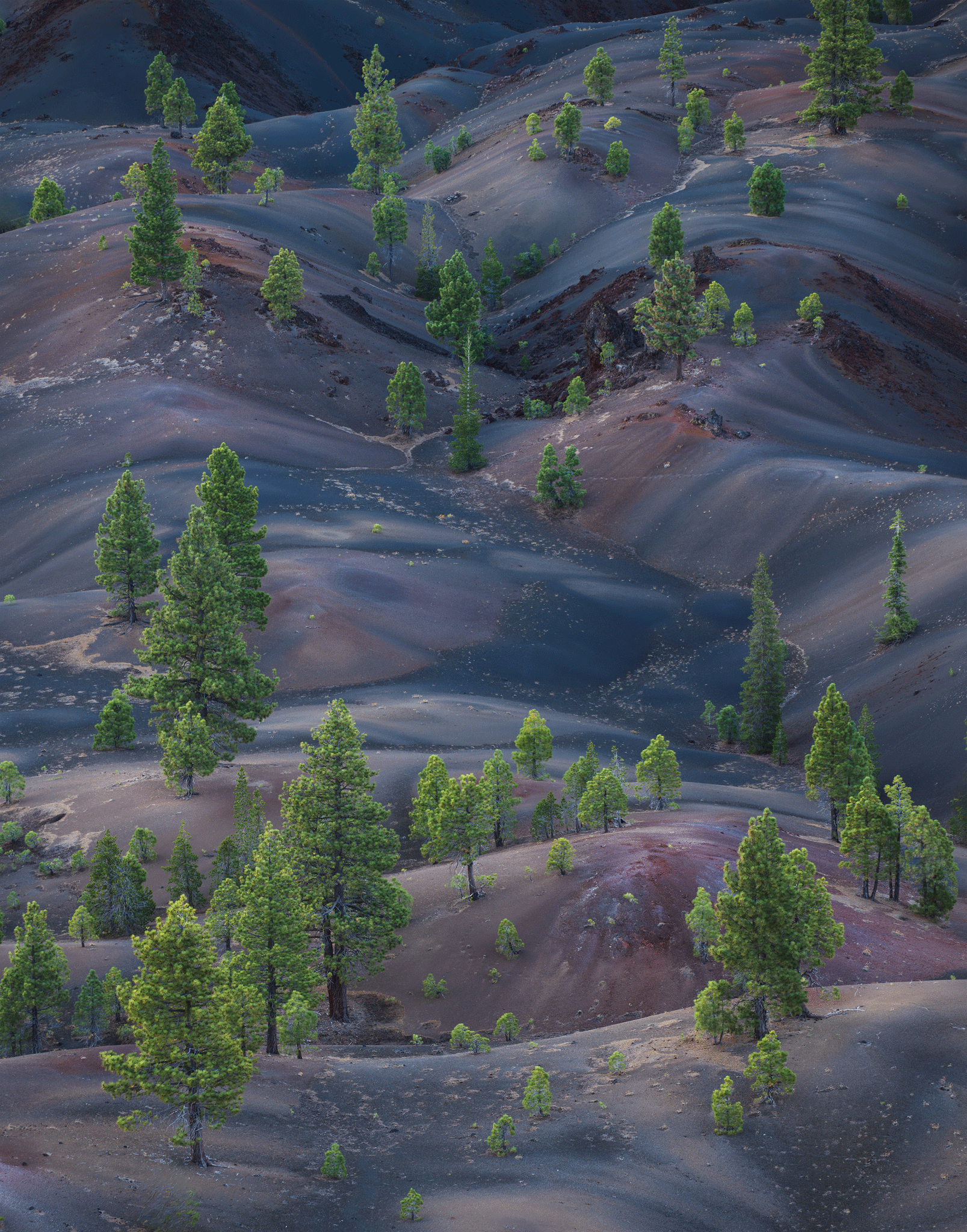 lassen-colorful-dunes.gif