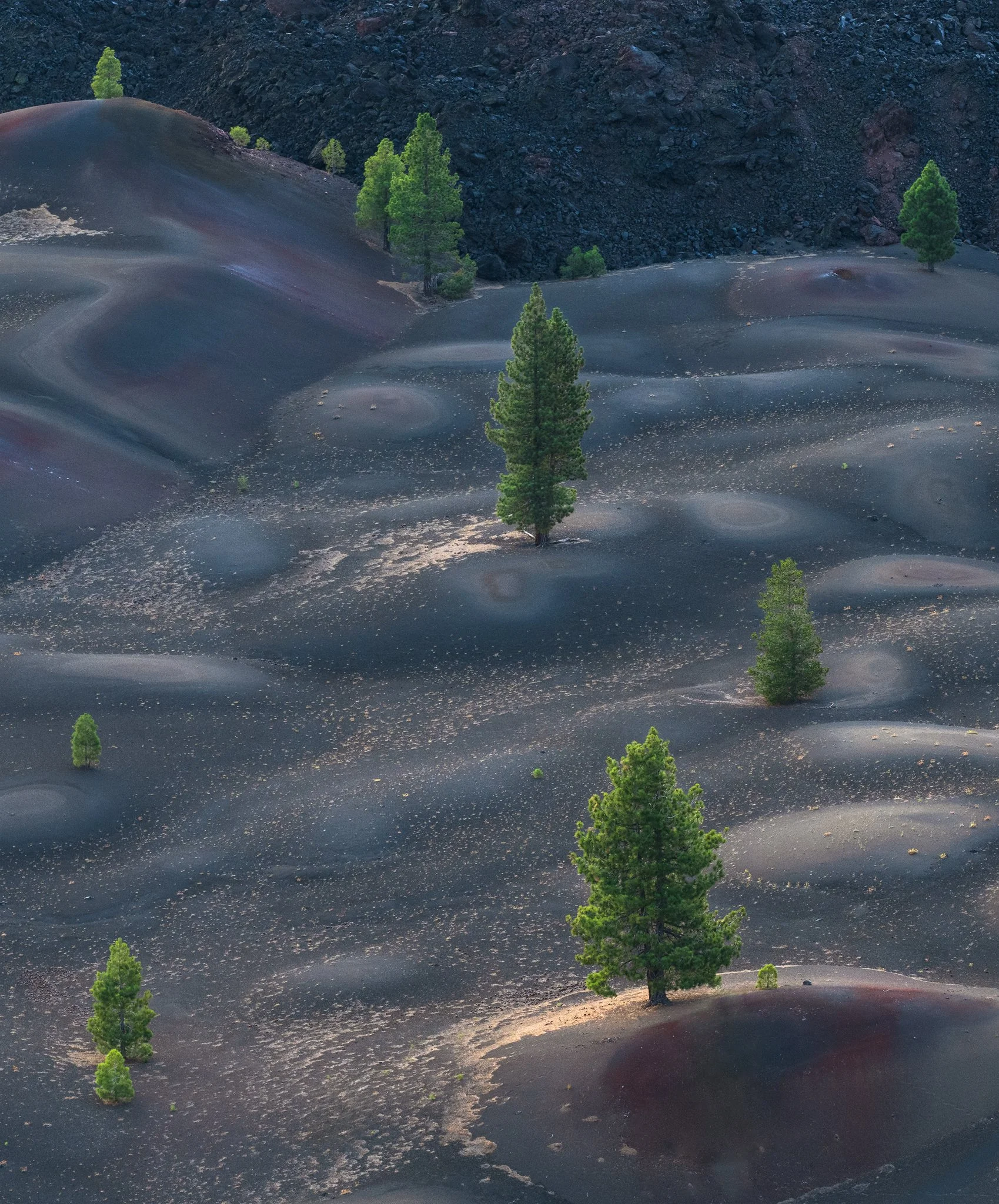 lassen-blue-hour.jpg