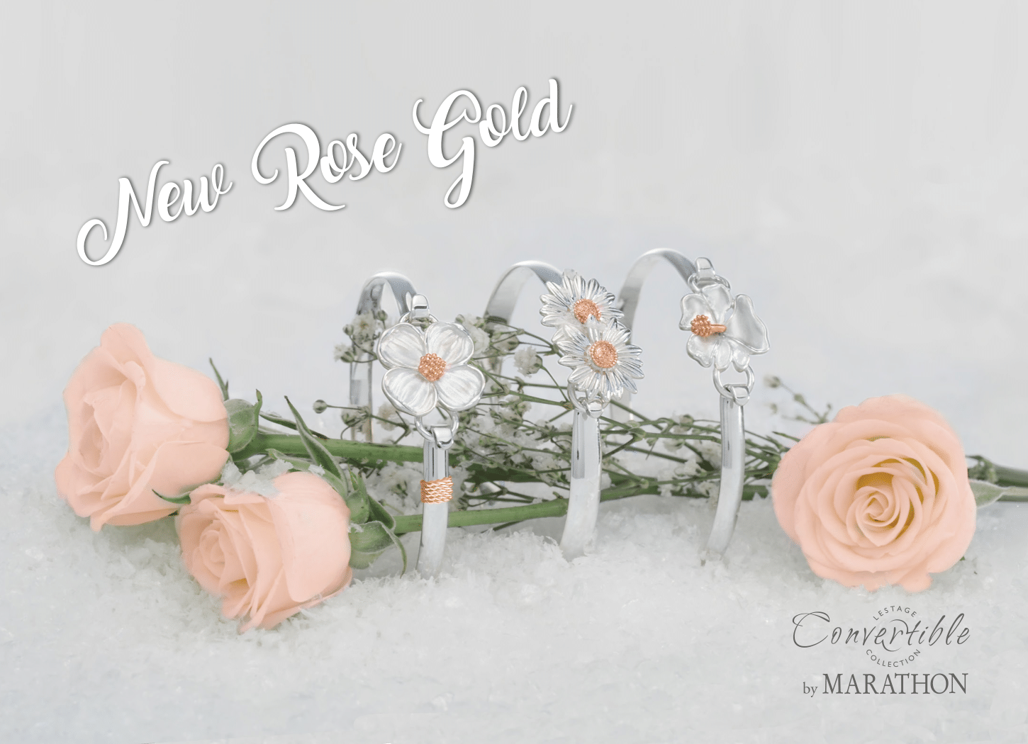 Convertible-WinterRose-proof-1.png