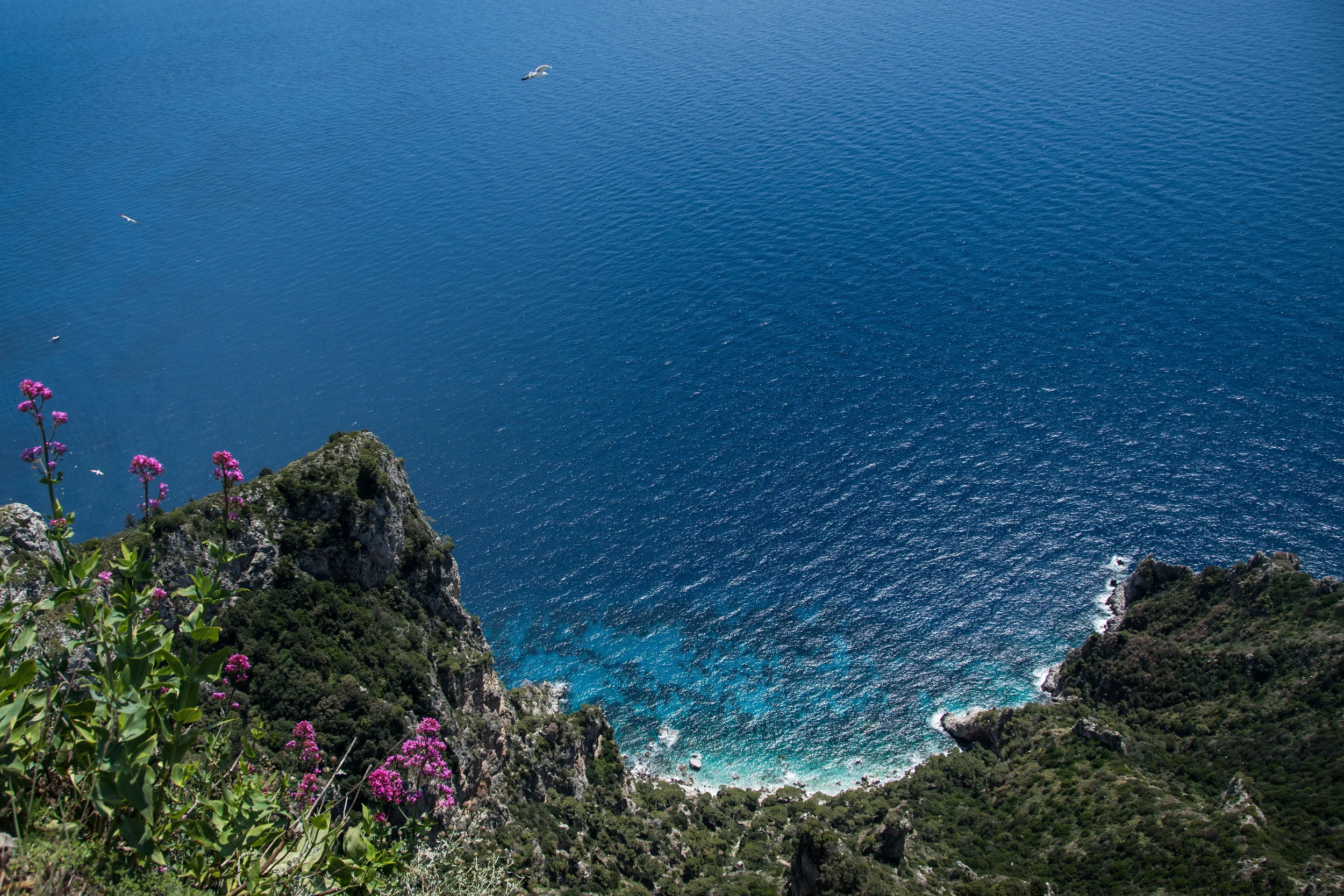 Scale | Monte Solaro, Capri, Italy