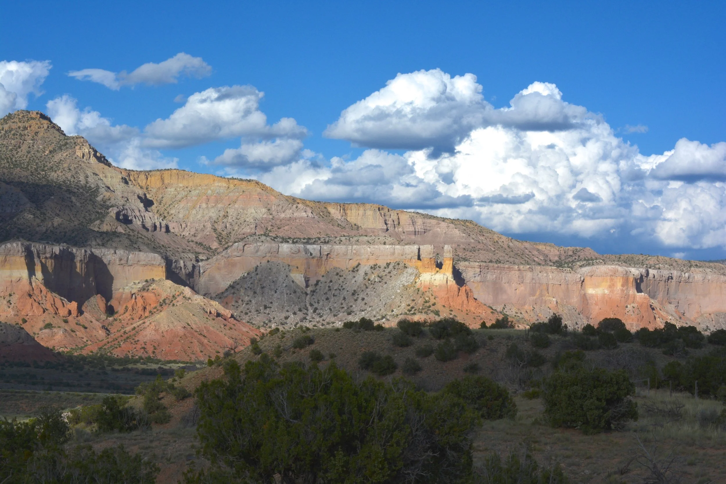 DSC_0164.jpg