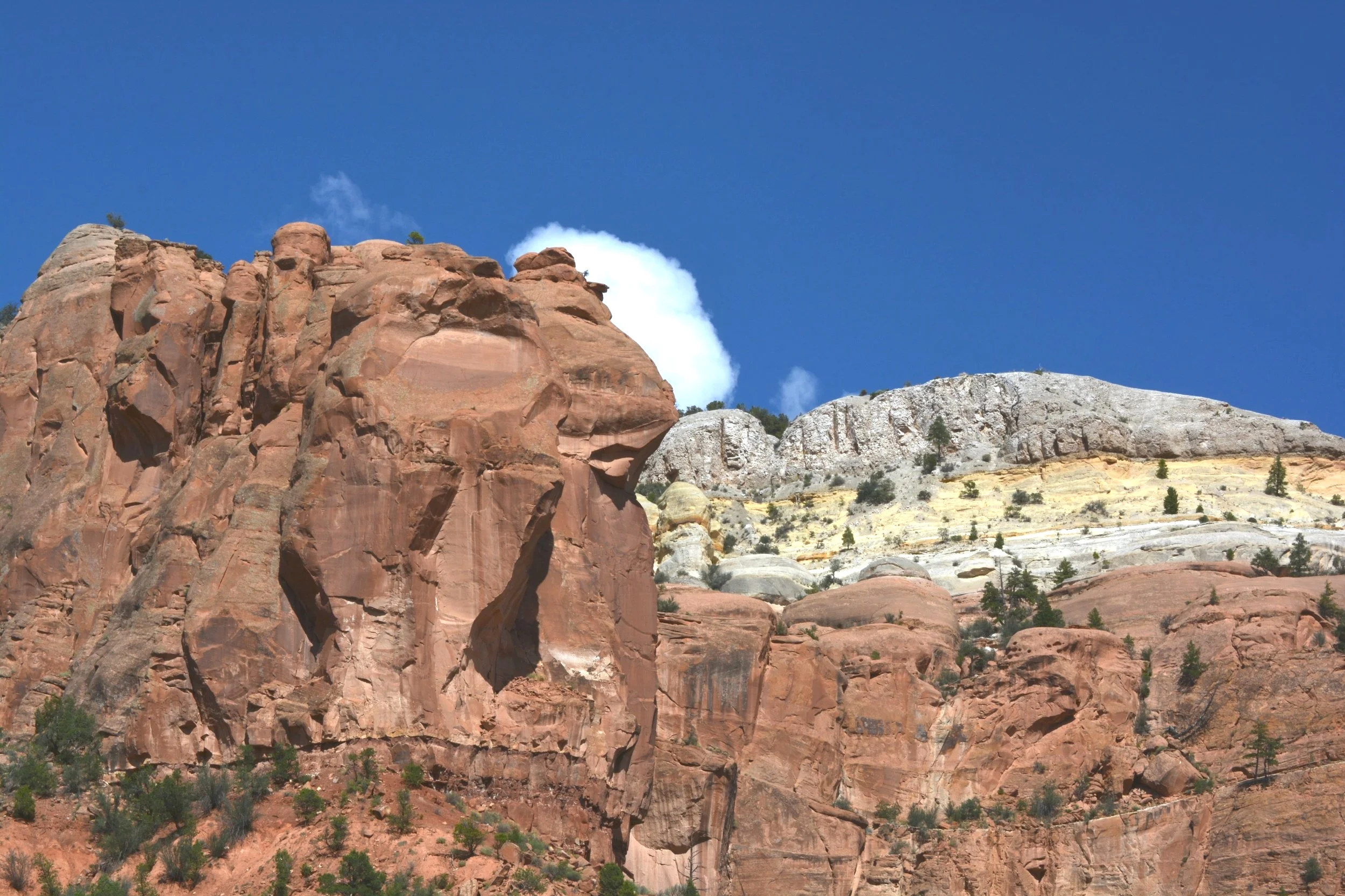 DSC_0070.jpg