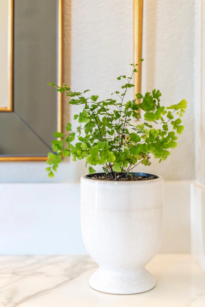 5205 E Hidden Valley Dr Reno-large-018-009-5205 E Hidden Valley Drive-667x1000-72dpi.jpg