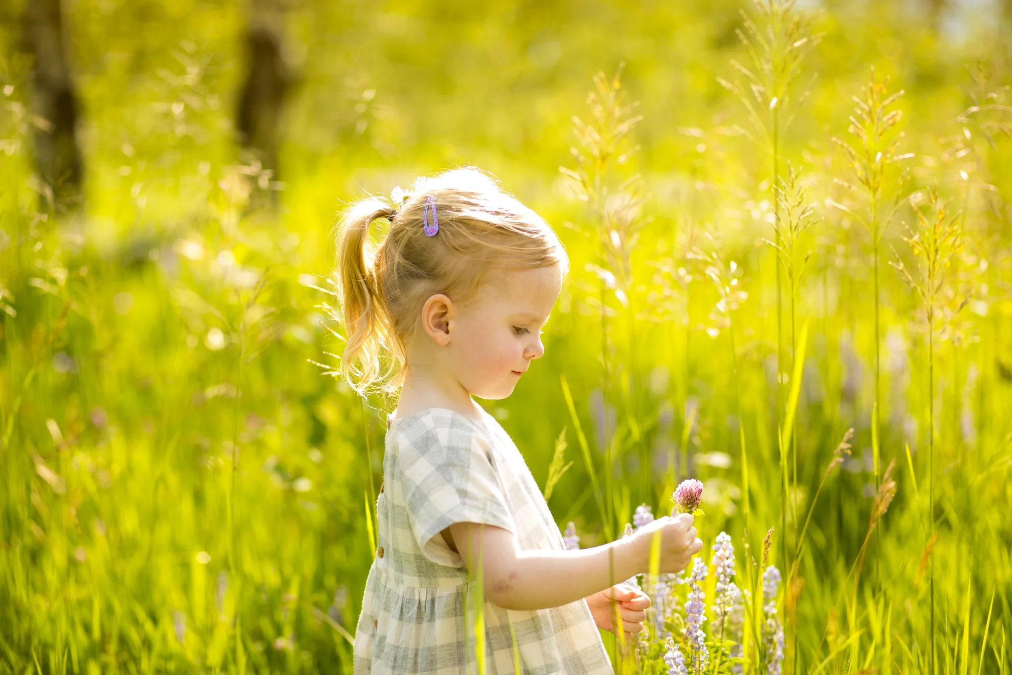 Cooleman Family 2017_ 0506.JPG