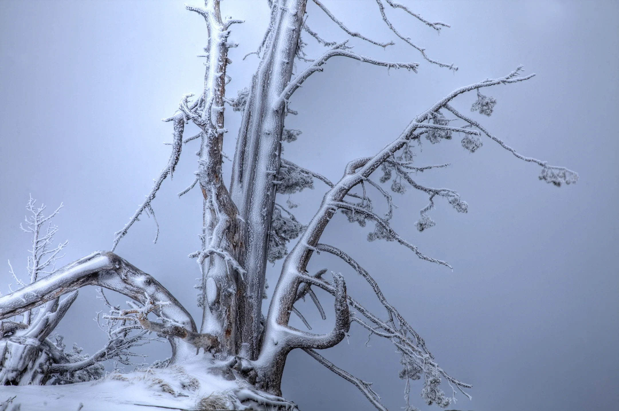 Roadtrip 2009_1459_60_61_tonemapped.JPG