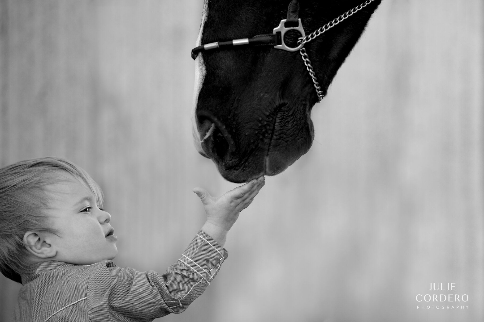 There's no better way to grow up than on a horse.