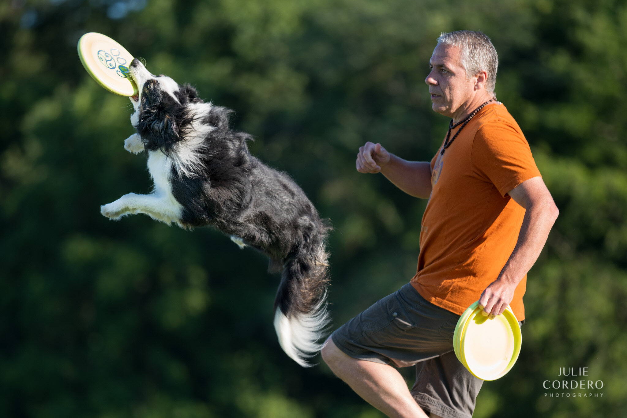 dogs in action dy 2 d850-6041-Edit.jpg