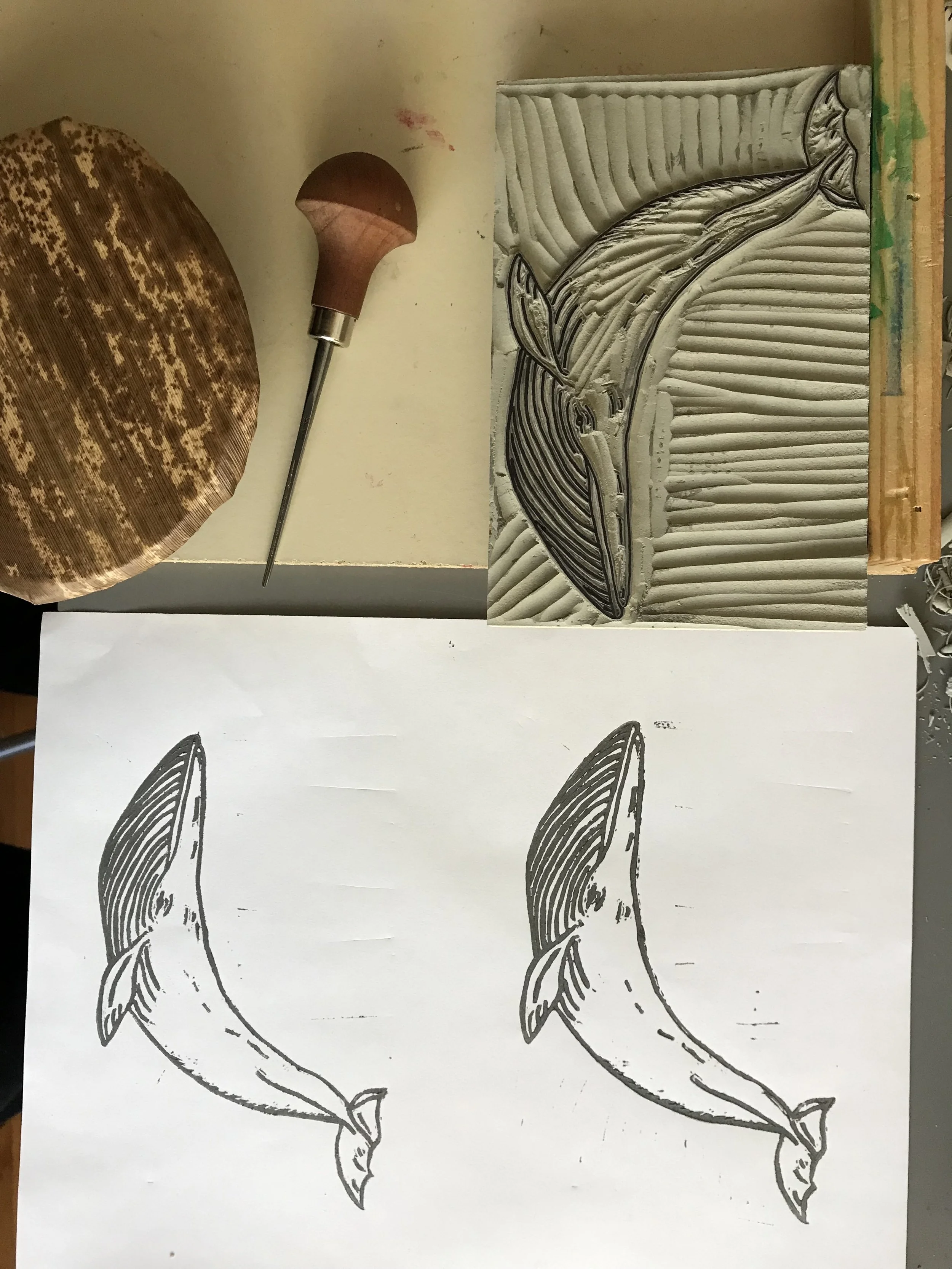 whales in progress