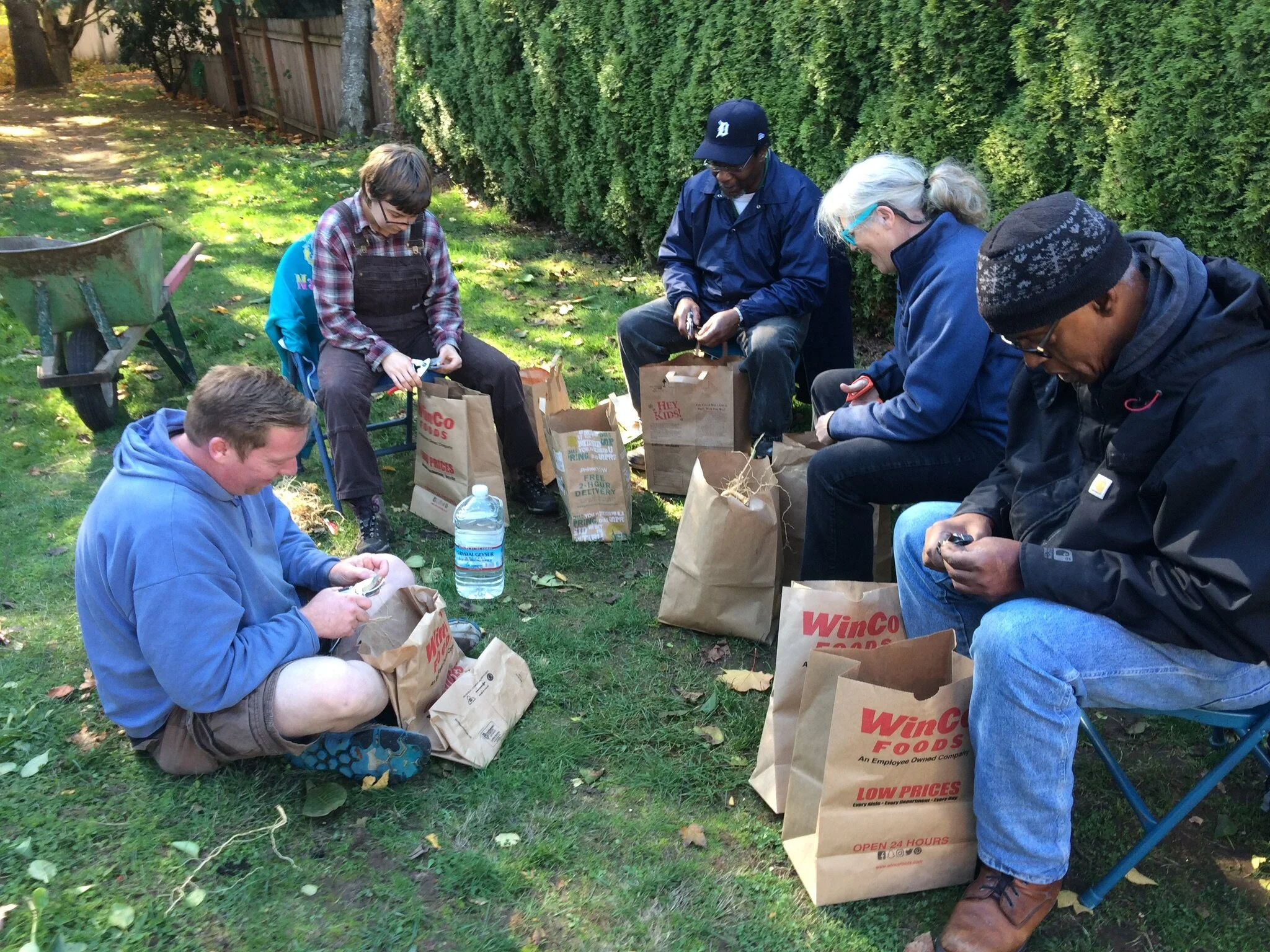 seedsorting:harvesting.jpg